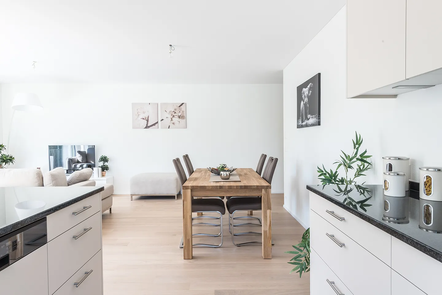 Charmante 3.5-Zimmer-Wohnung - Foto 6 von 13