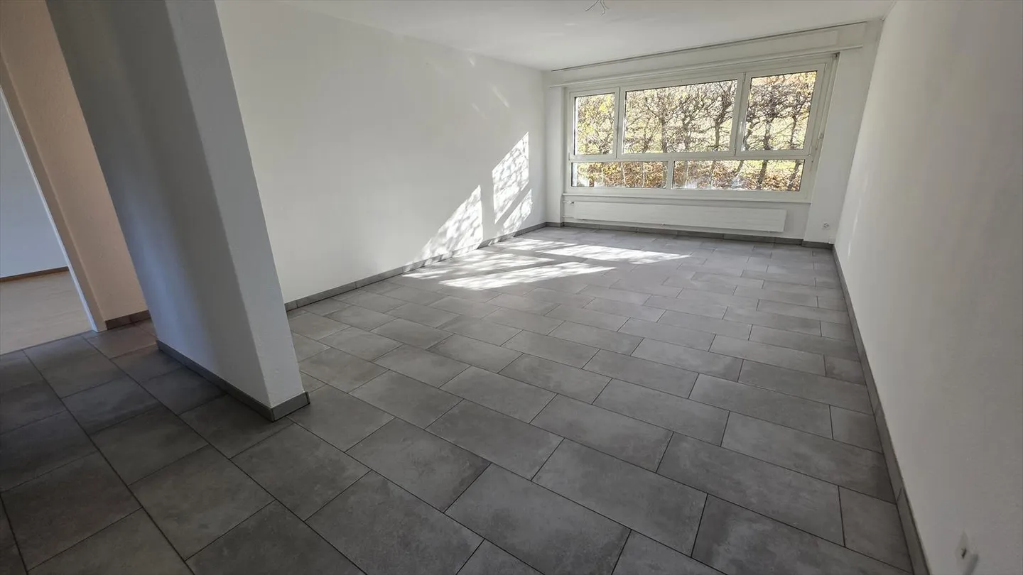 QUARTIERE BELLEVUE Ampio appartamento ristrutturato di 5.5 locali a La Chaux-de-Fonds - Foto 3 di 14