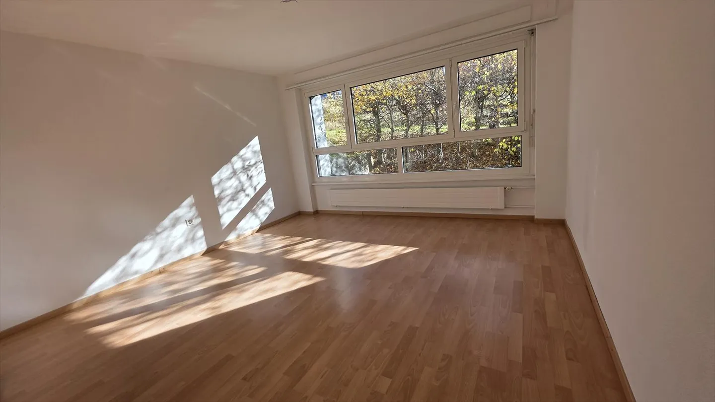 QUARTIERE BELLEVUE Ampio appartamento ristrutturato di 5.5 locali a La Chaux-de-Fonds - Foto 9 di 14