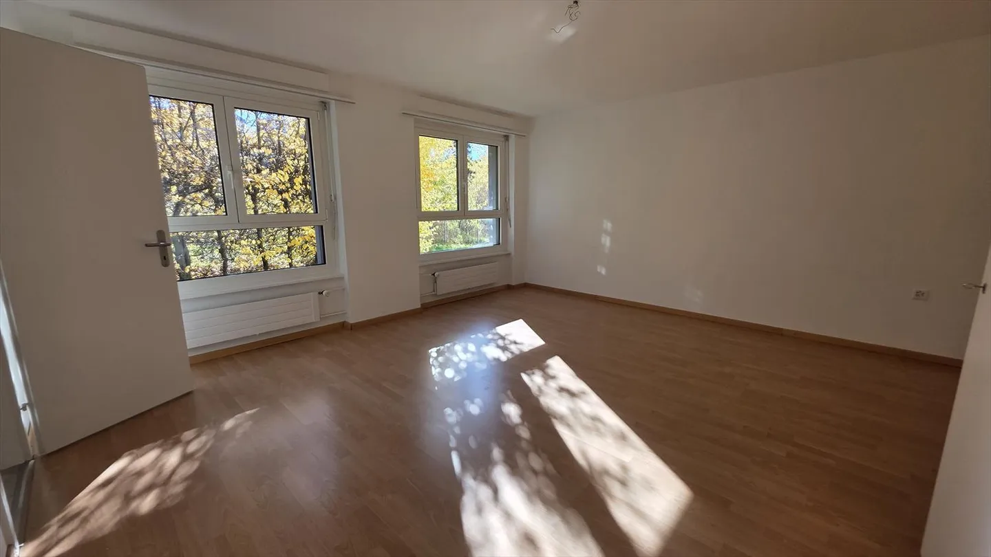 QUARTIERE BELLEVUE Ampio appartamento ristrutturato di 5.5 locali a La Chaux-de-Fonds - Foto 11 di 14