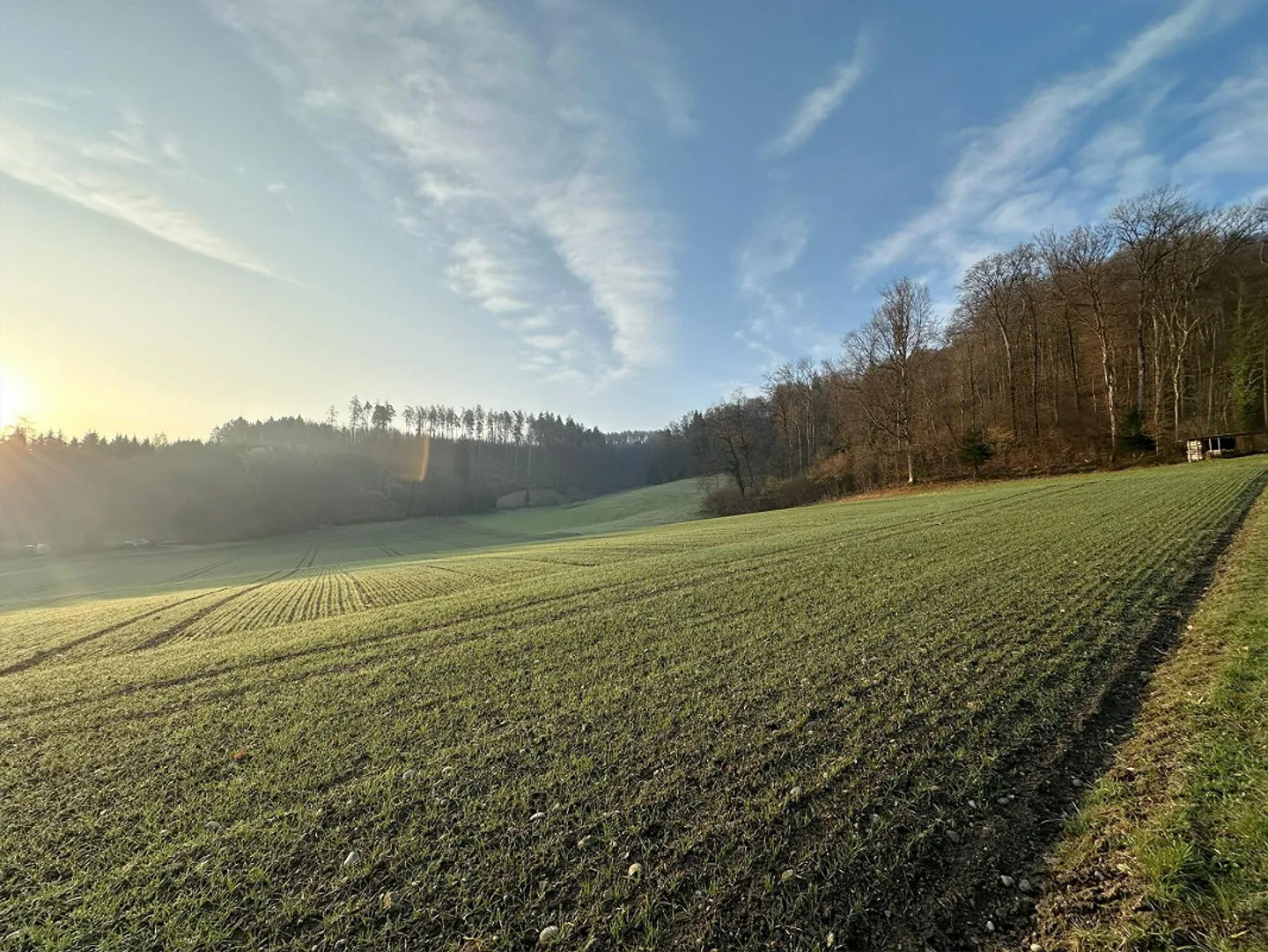 Moderne Familienhäuser in Killwangen - Foto 10 von 10