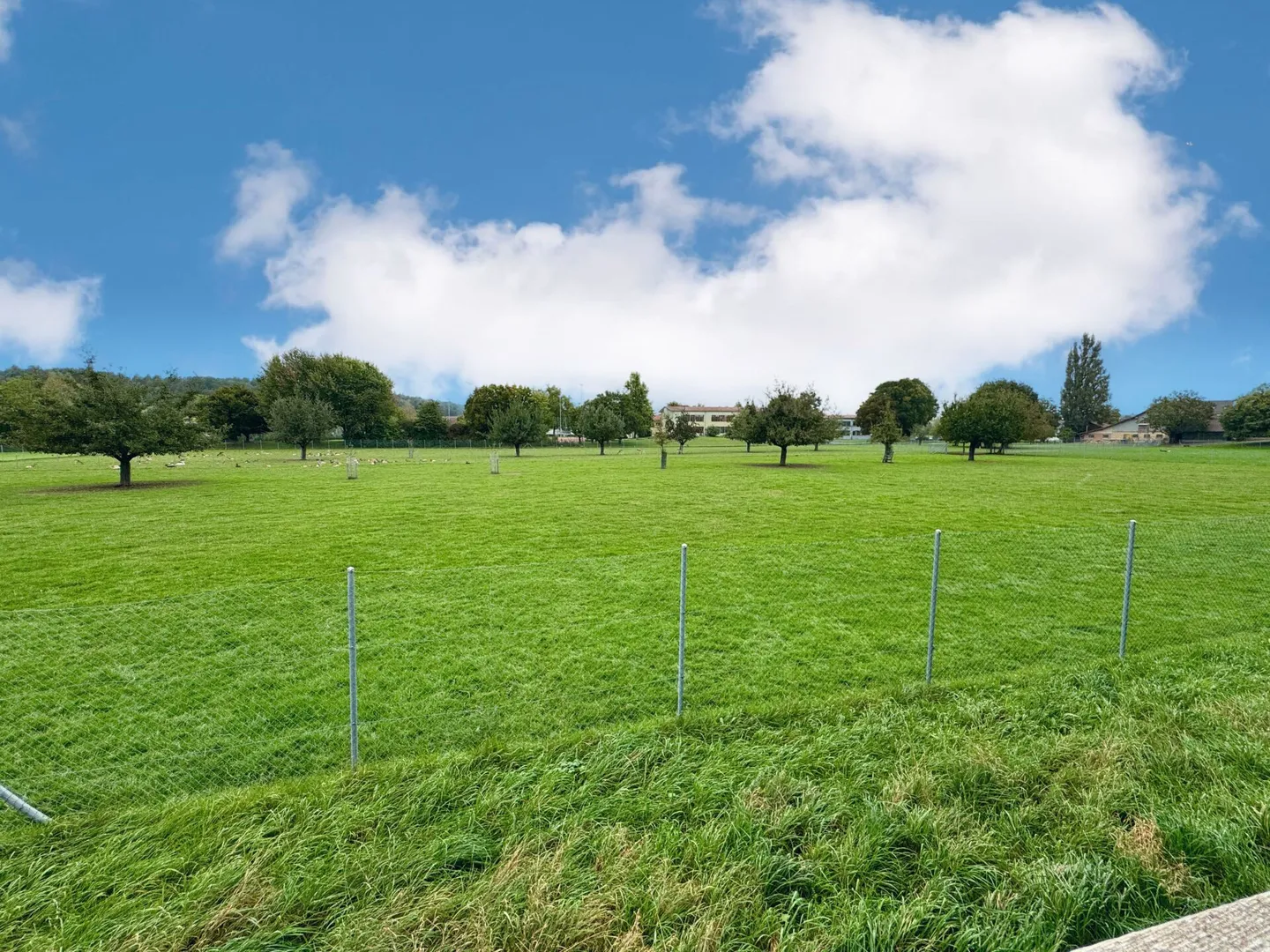 Modernes Wohnen mit Gartenidylle in Höri - Foto 12 von 12