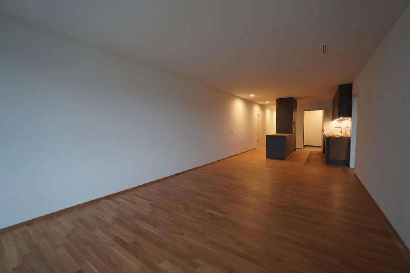 FIRST RENTAL IN LIESTAL - each apartment with its own washing tower - Photo 6 of 12