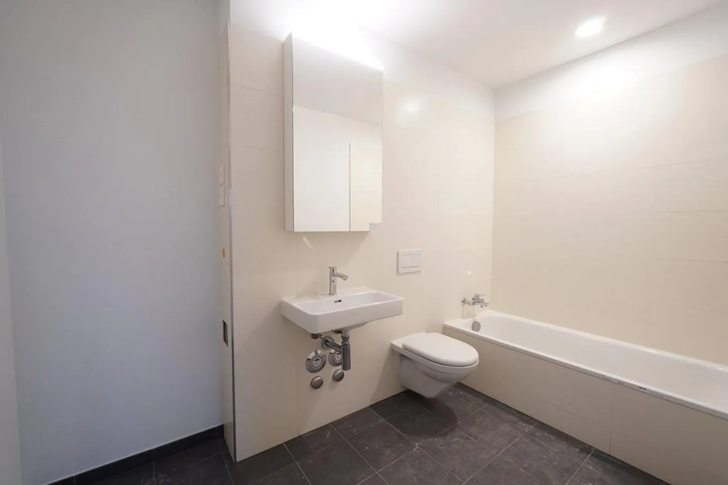 FIRST RENTAL IN LIESTAL - each apartment with its own washing tower - Photo 12 of 12