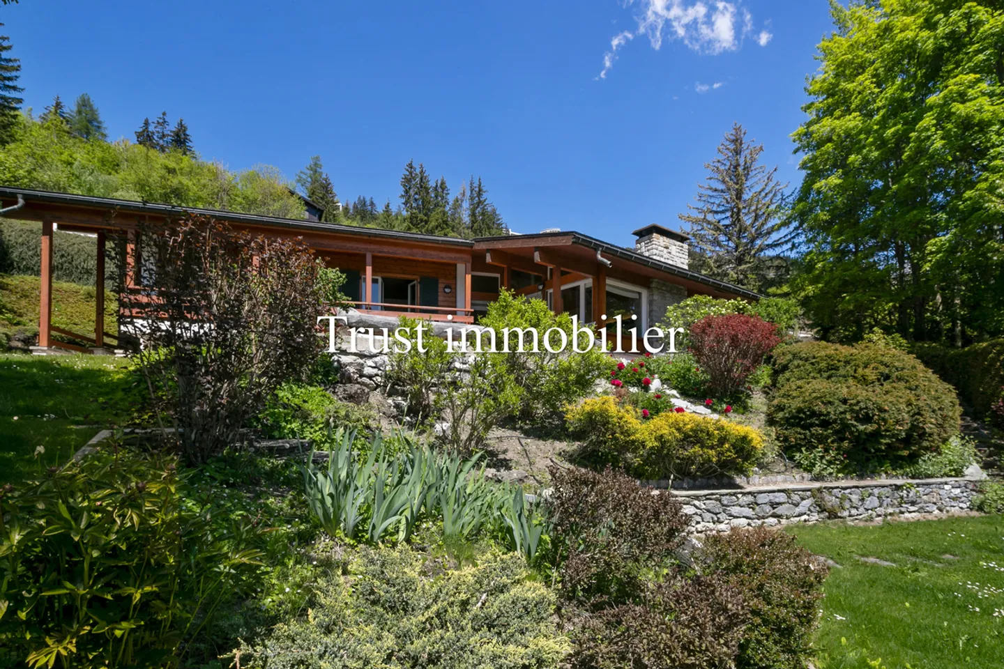 6002. Stunning view of the Alps and great potential - Photo 1 of 19