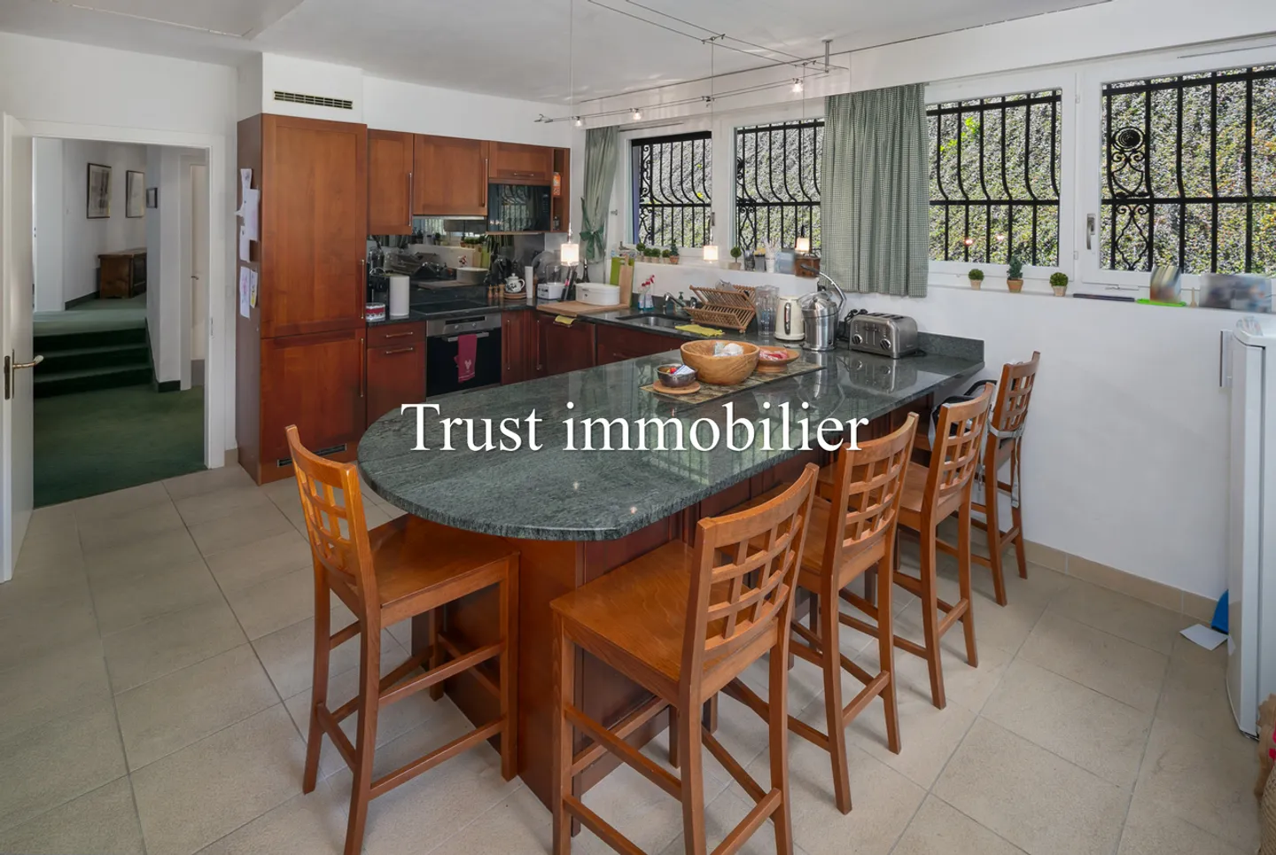 6002. Stunning view of the Alps and great potential - Photo 3 of 19