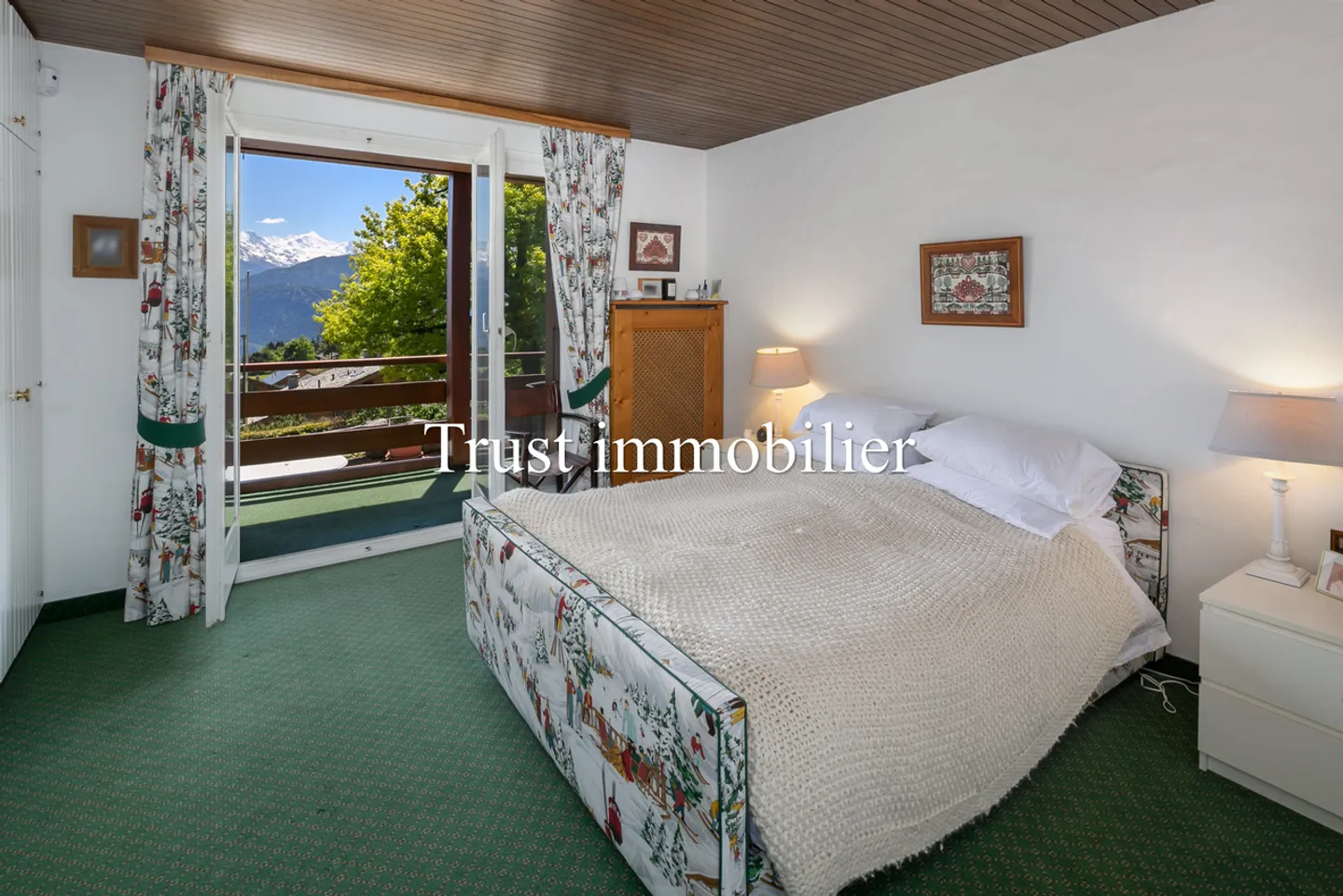 6002. Stunning view of the Alps and great potential - Photo 6 of 19