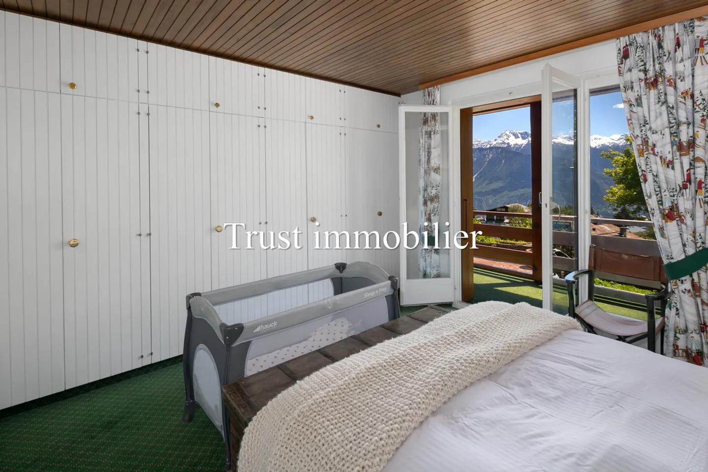 6002. Stunning view of the Alps and great potential - Photo 9 of 19