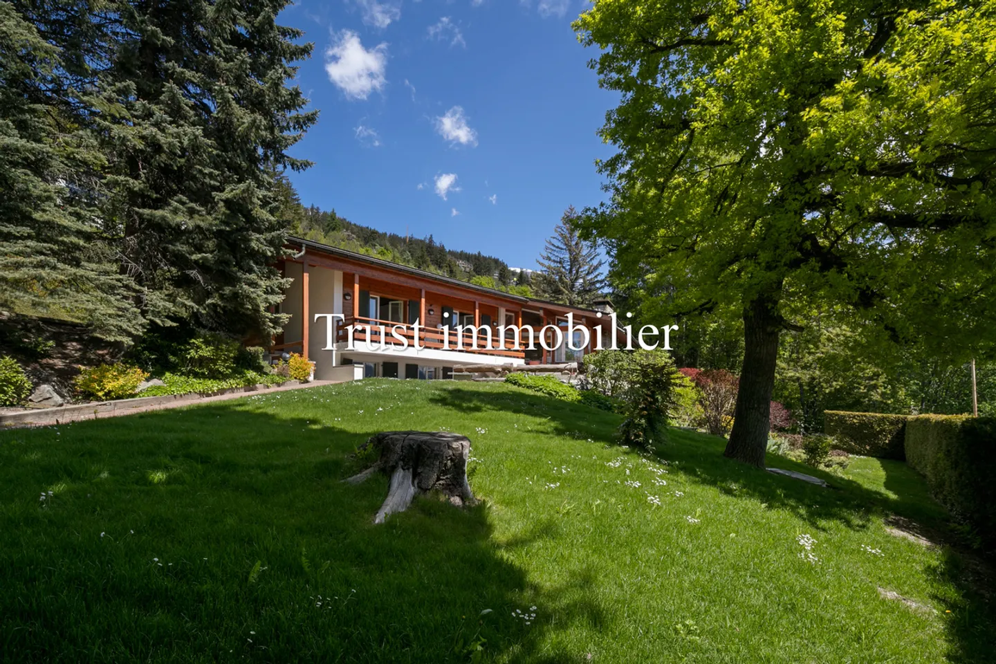 6002. Stunning view of the Alps and great potential - Photo 16 of 19