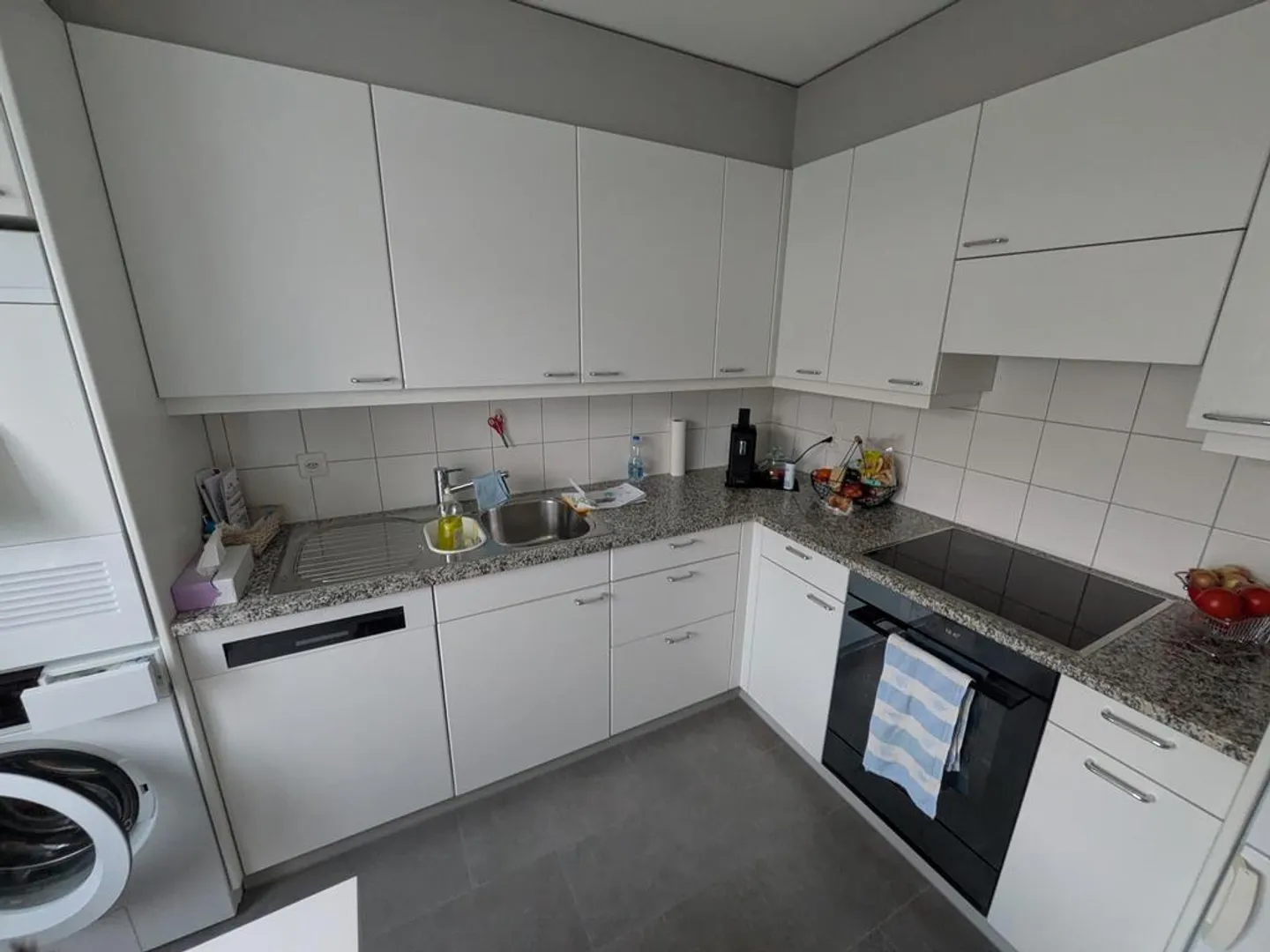 Freshly Renovated 3-Room Apartment - Photo 2 of 6