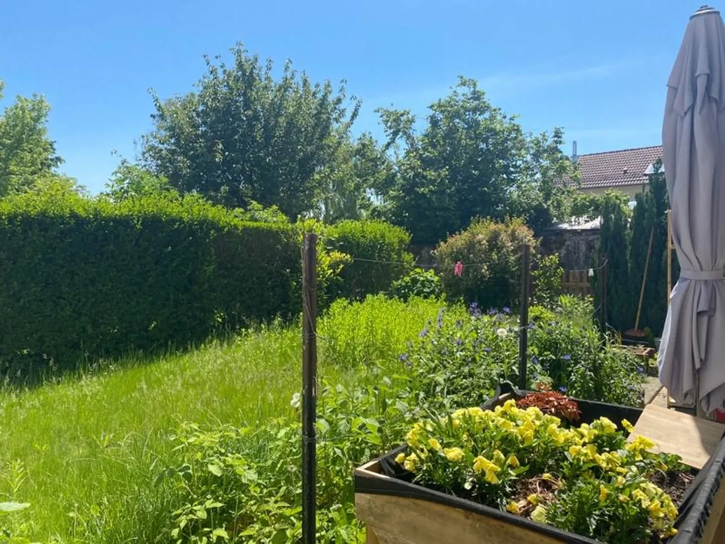 Charmant Appartement avec Jardin - Photo 8 sur 12