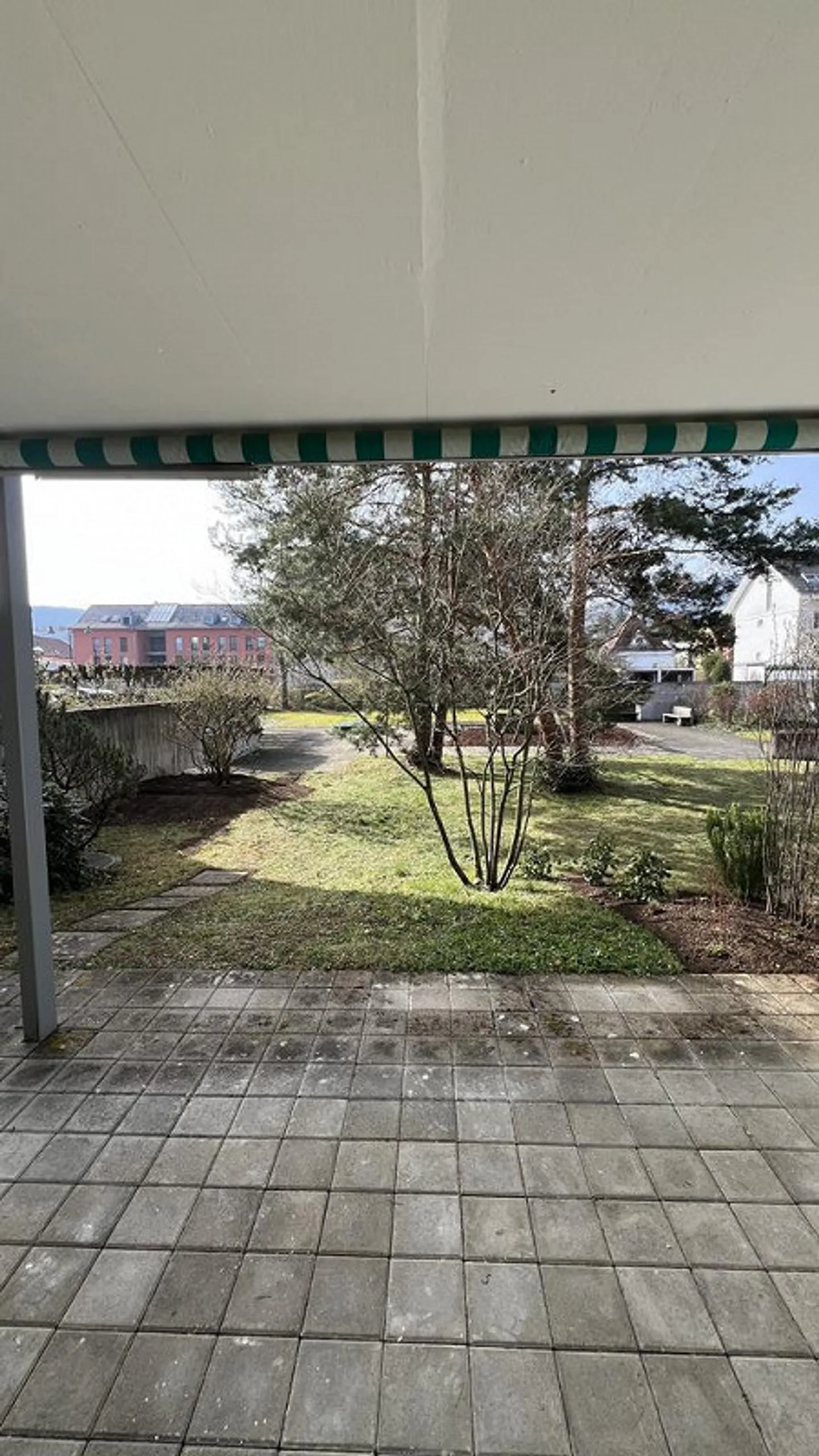 Freshly Renovated 3-Room Apartment - Photo 5 of 6