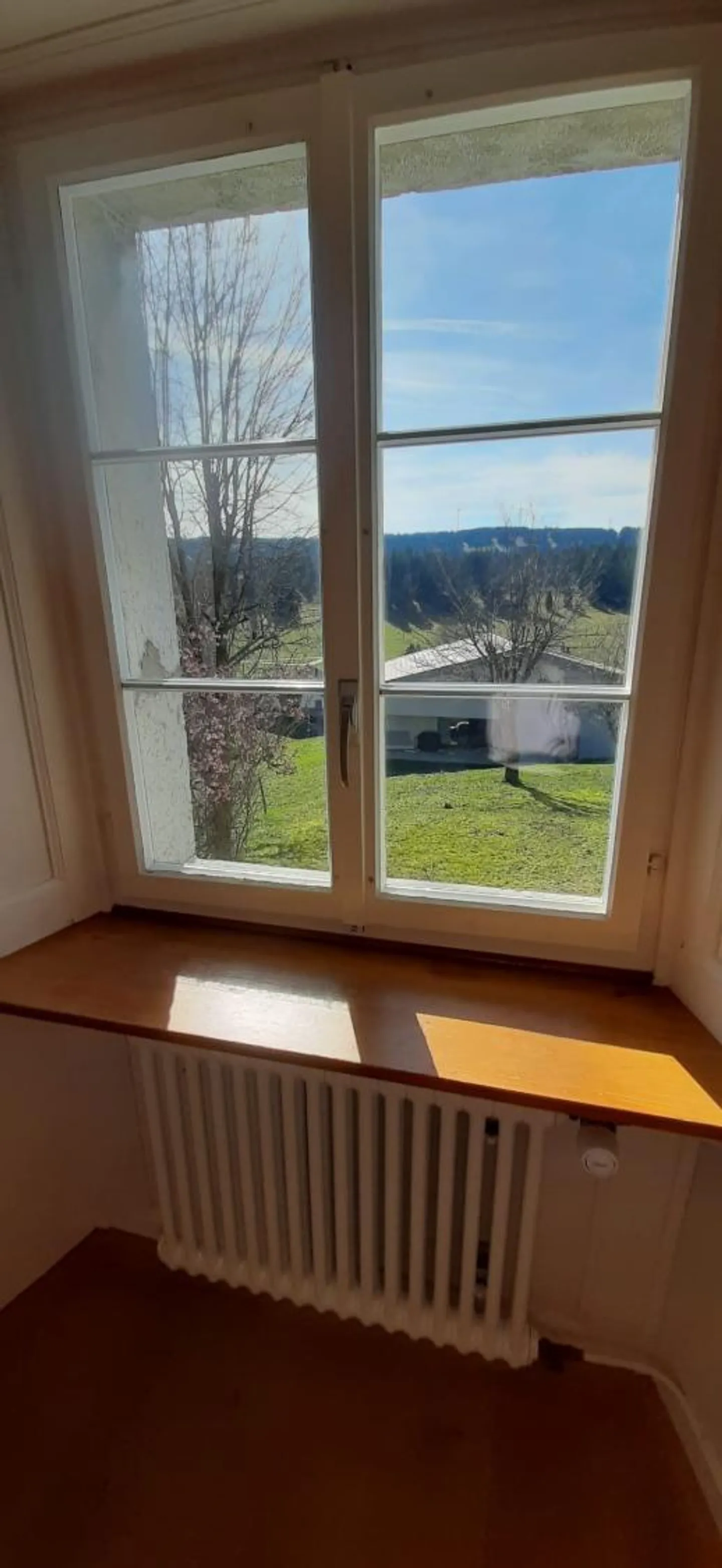 Appartamento 3.5 stanze - Foto 3 di 10