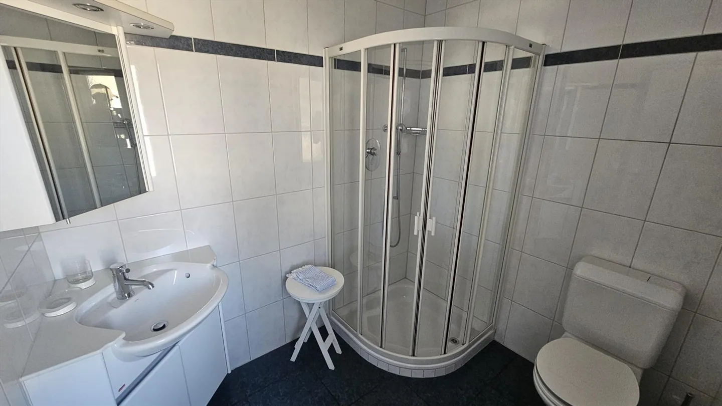 Maison de 4,5 pièces avec très grand appartement de 2,5 pièces - Photo 7 sur 24