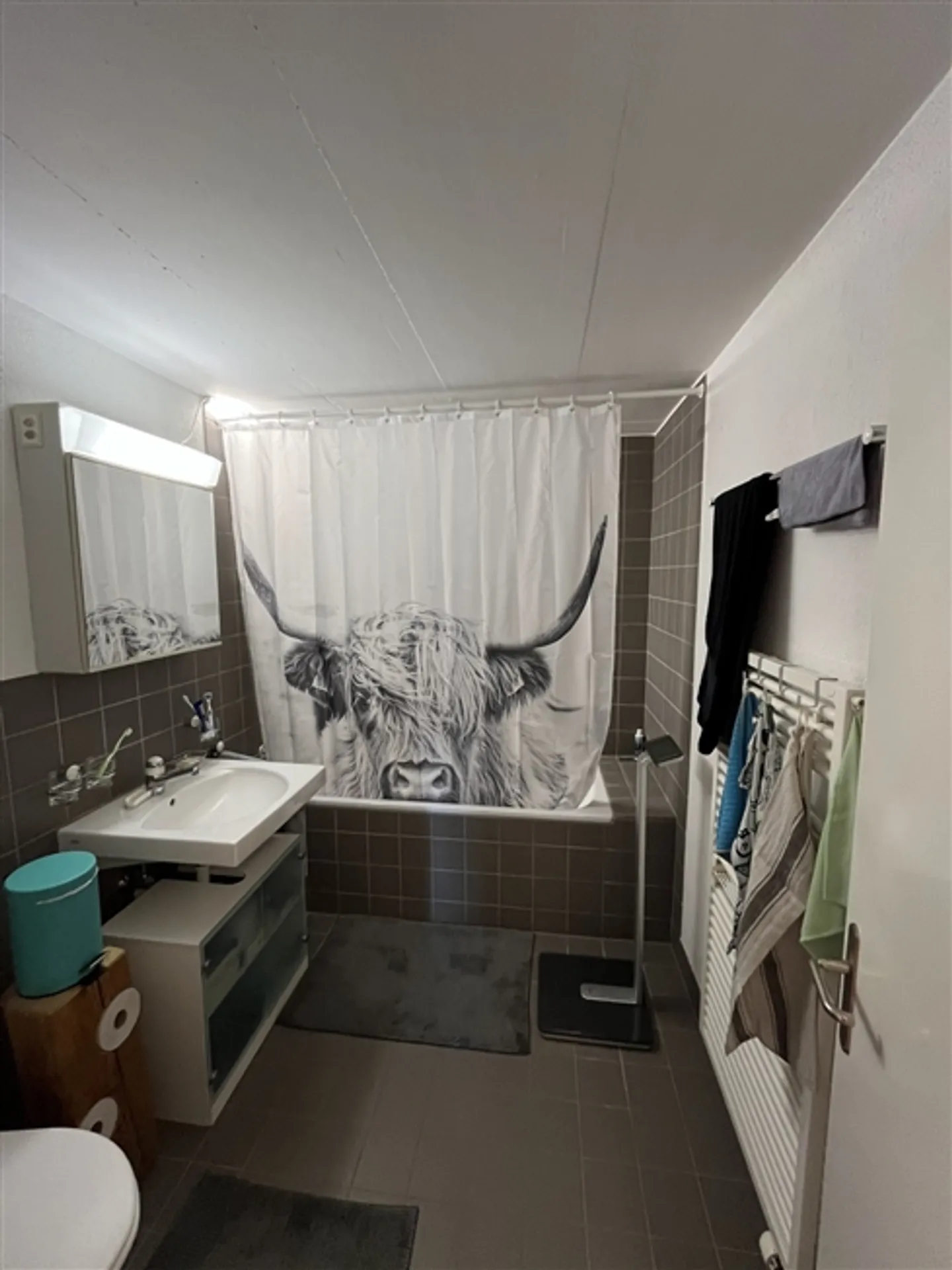 Appartamento 2 locali a Eglisau (ZH), arredato, temporaneo - Foto 6 di 9