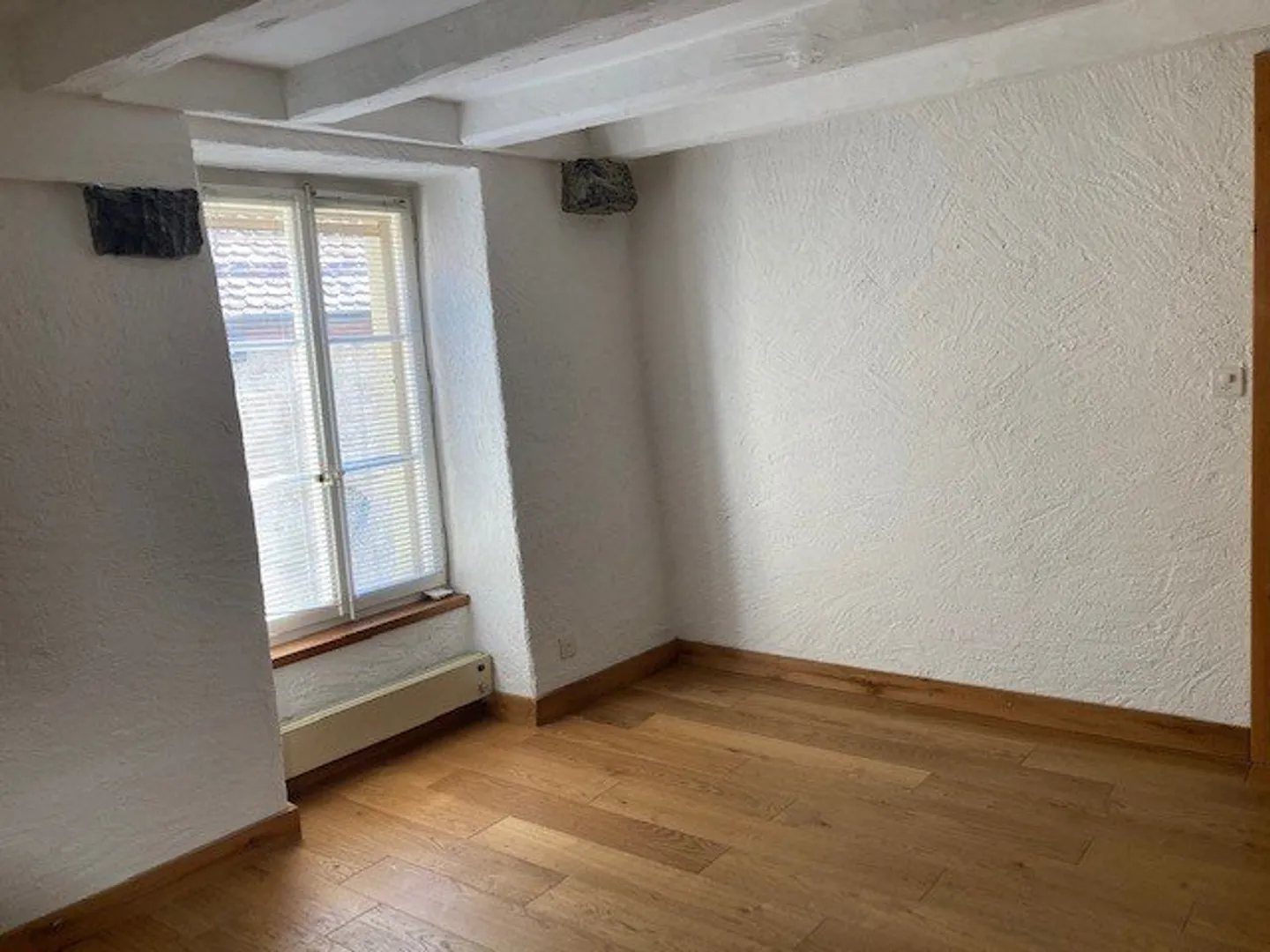 Renovated 1.5-Room Apartment - Photo 3 of 5