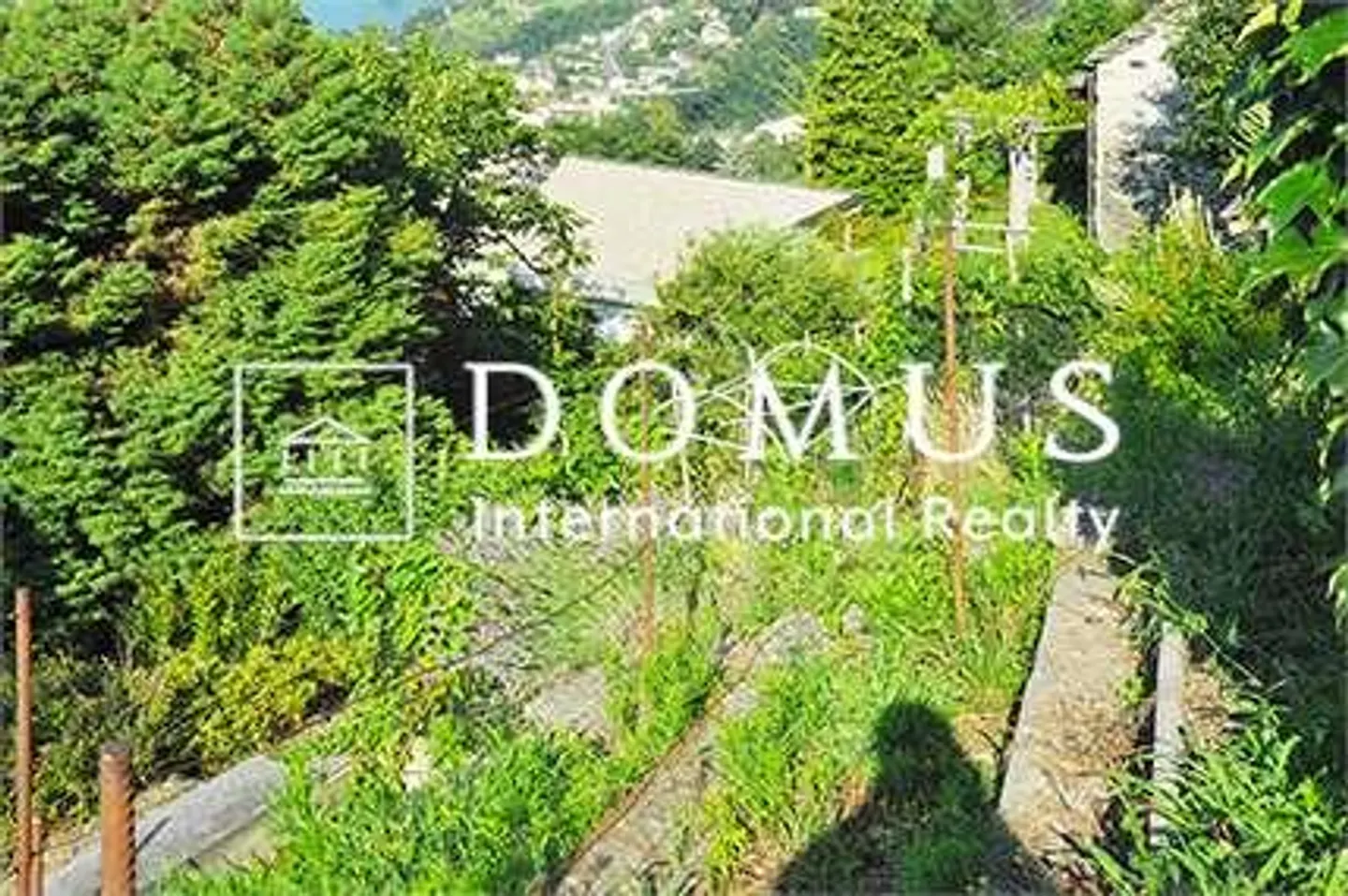 For Sale Land in the Municipality of Gordola. - Photo 6 of 11