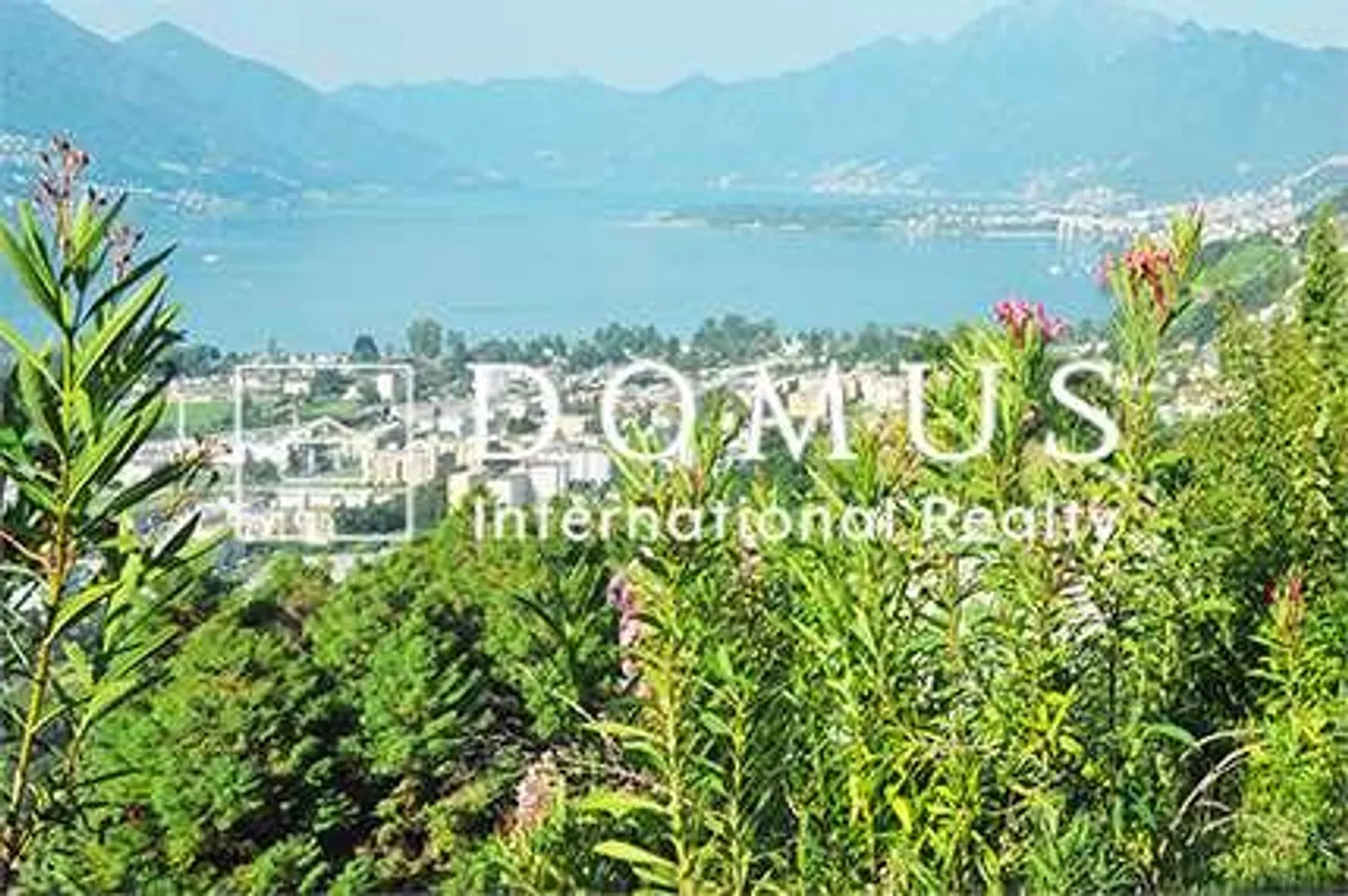 For Sale Land in the Municipality of Gordola. - Photo 8 of 11