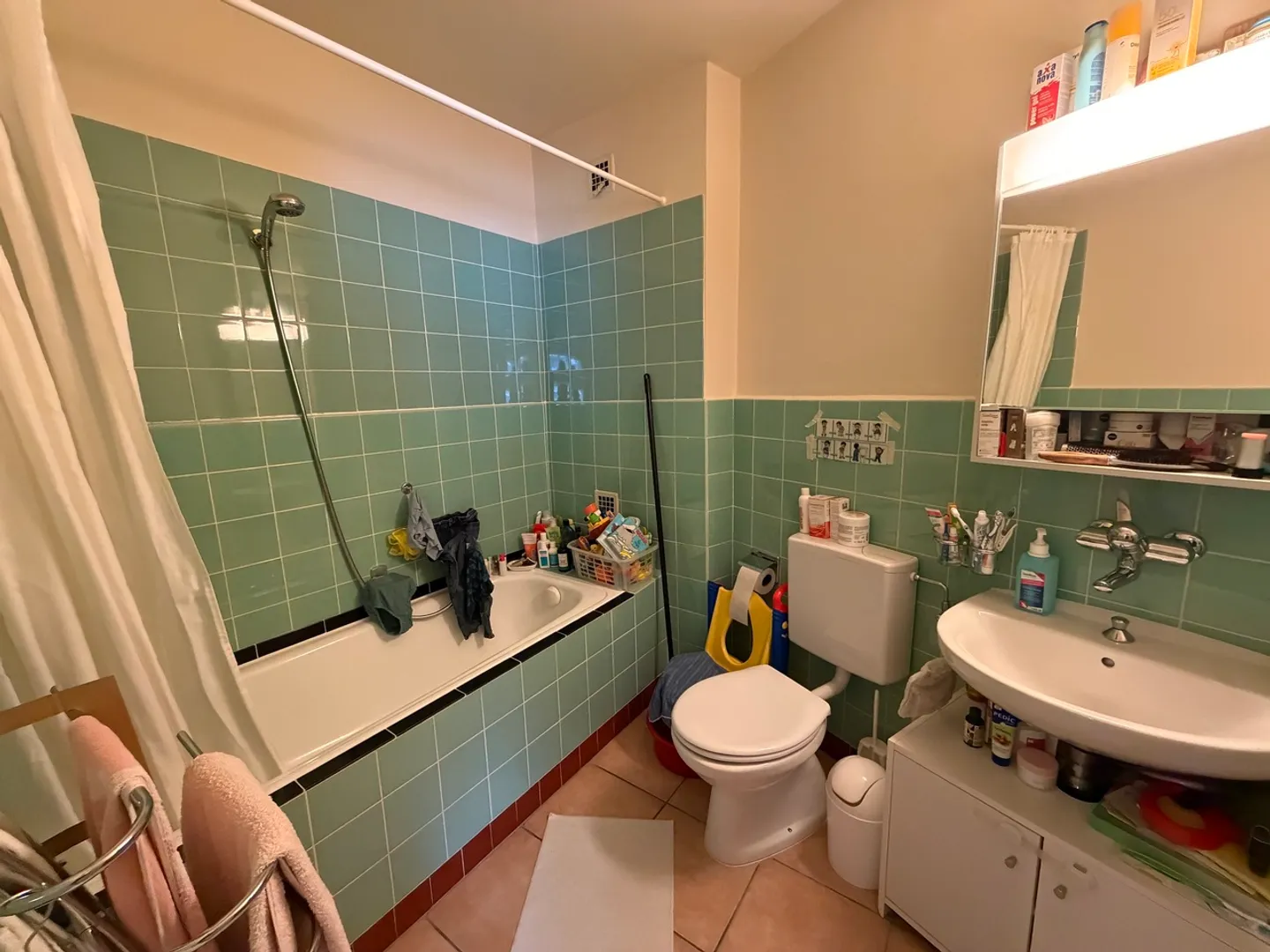 Appartement Charmant Près de la Gare de Nyon - Photo 6 sur 8