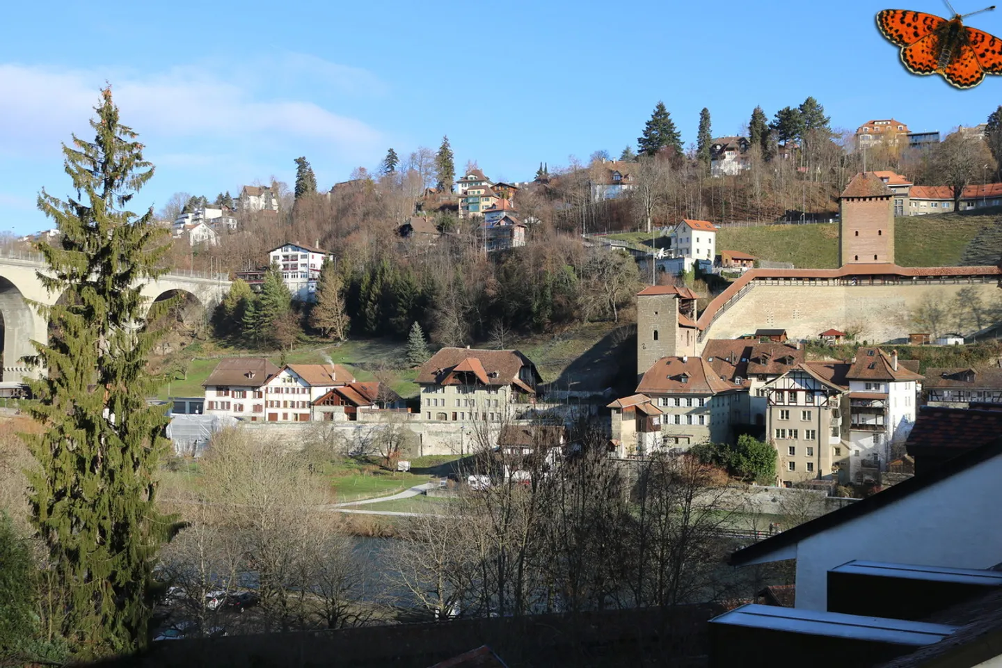 Charming Apartment - Photo 6 of 10