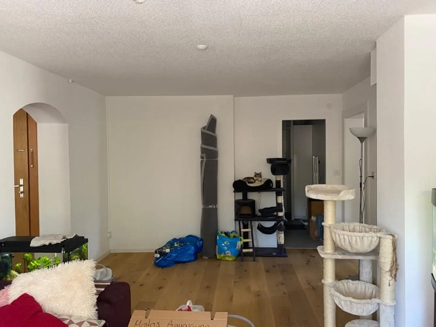 3.5 Room Apartment - Photo 3 of 11