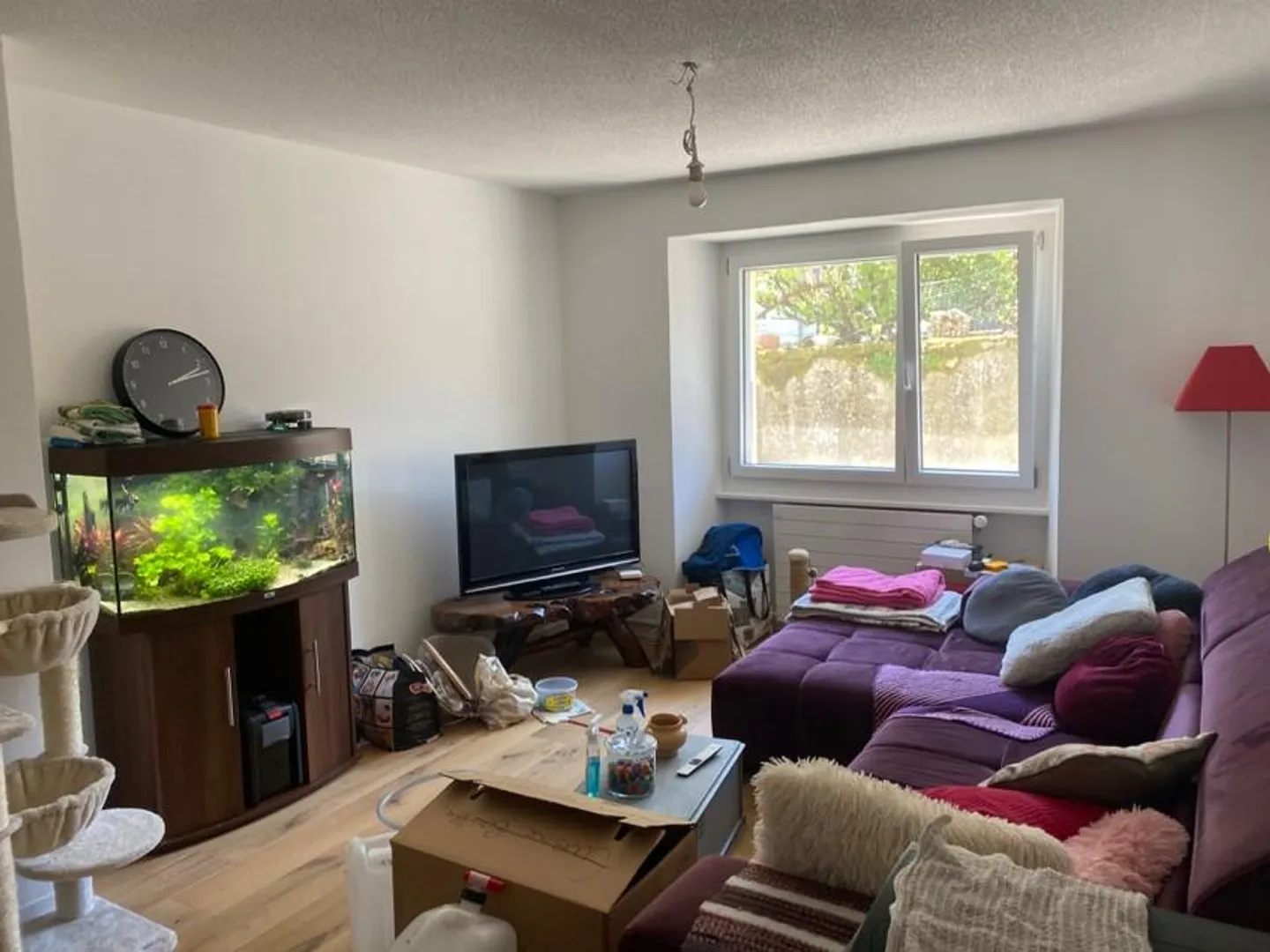 3.5 Room Apartment - Photo 5 of 11