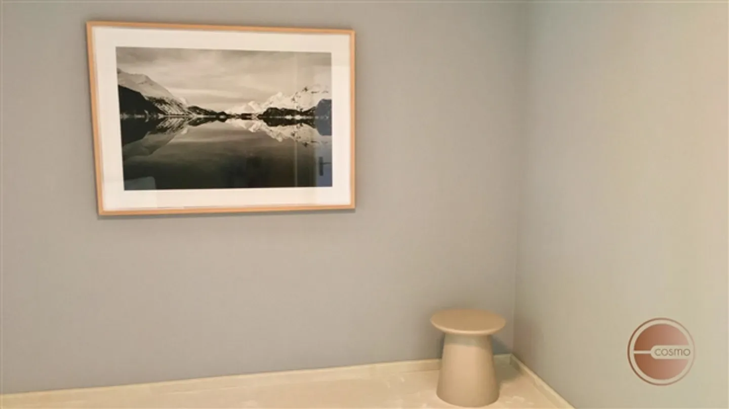 Appartement de service penthouse artistique de 3 chambres avec vue sur le lac - Photo 8 sur 17