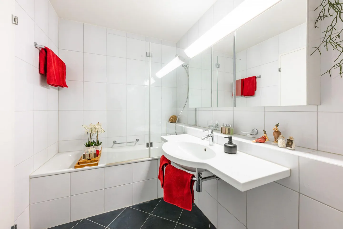 Appartement 4.5 pièces - Photo 4 sur 12