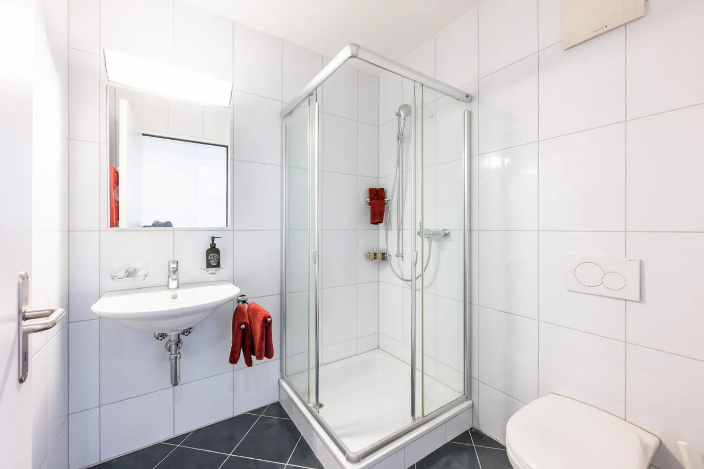 Appartement 4.5 pièces - Photo 5 sur 12