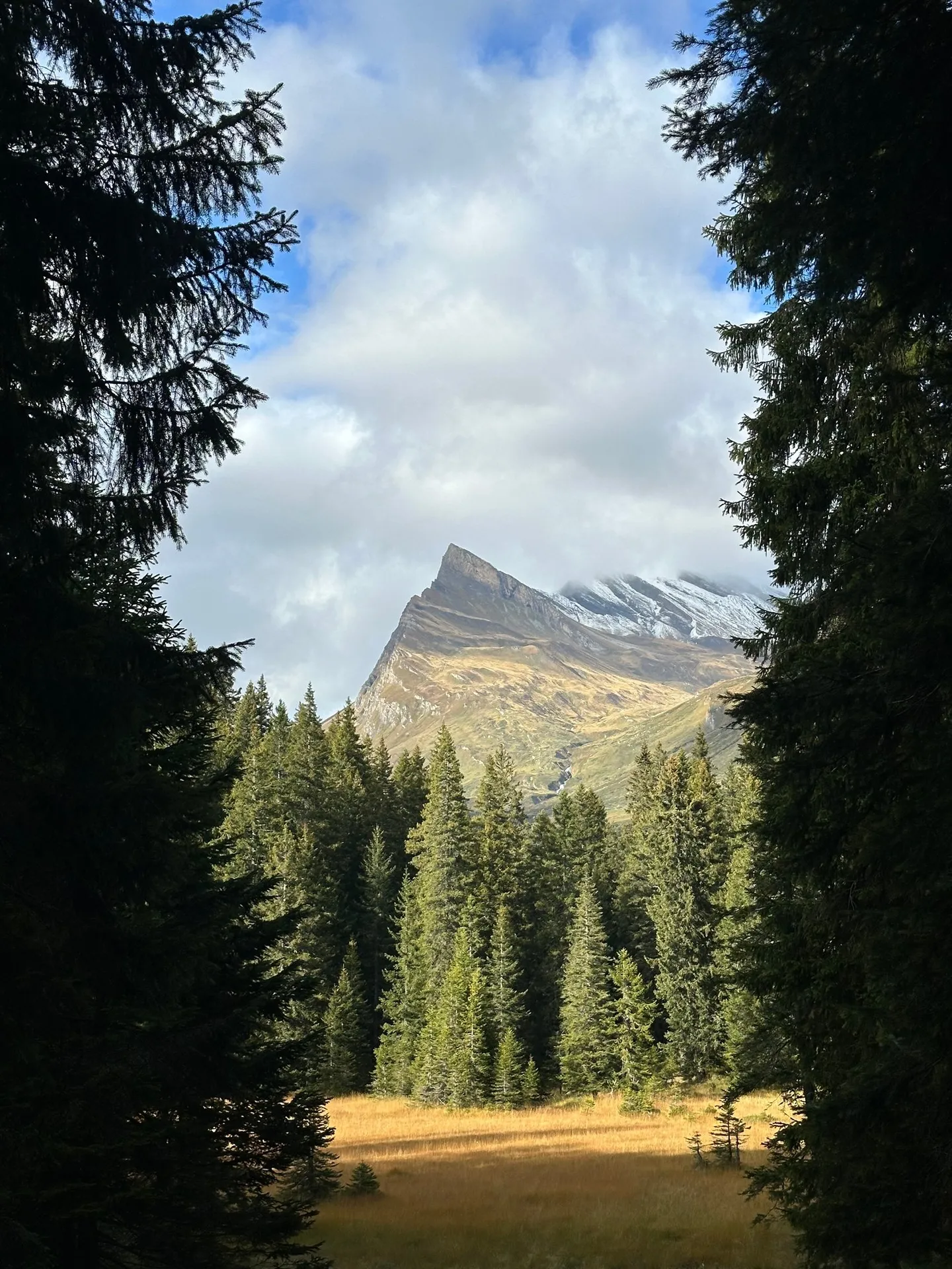 Residence Albarella: Charm and Nature 2.5! - Photo 10 of 11