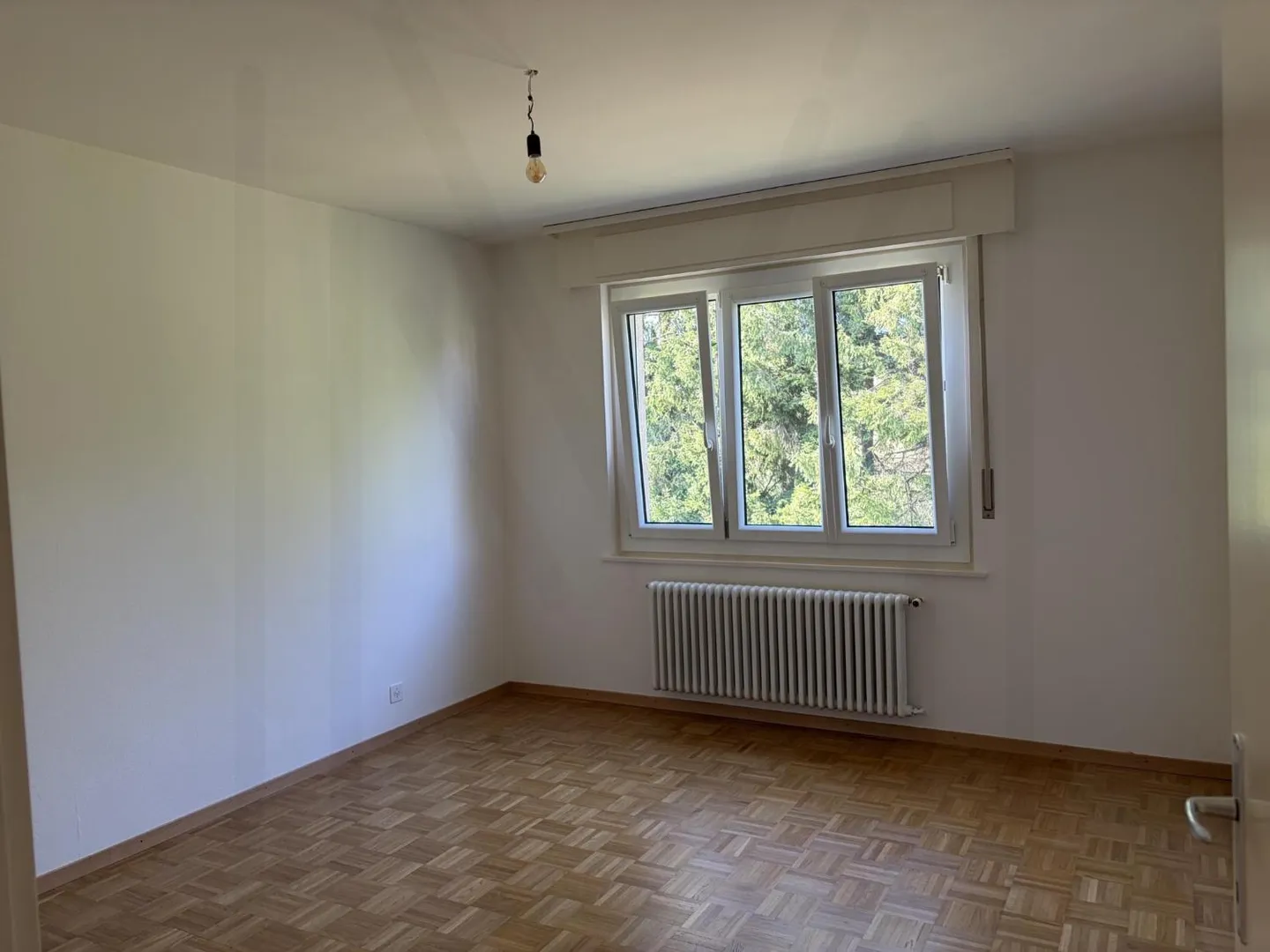 Charming 3.5 Room Apartment - Photo 9 of 12
