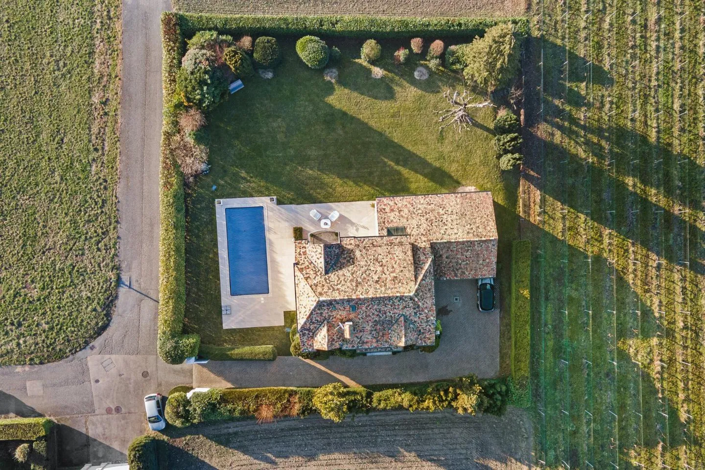 Villa au bord du lac à Corsier - Photo 6 sur 13