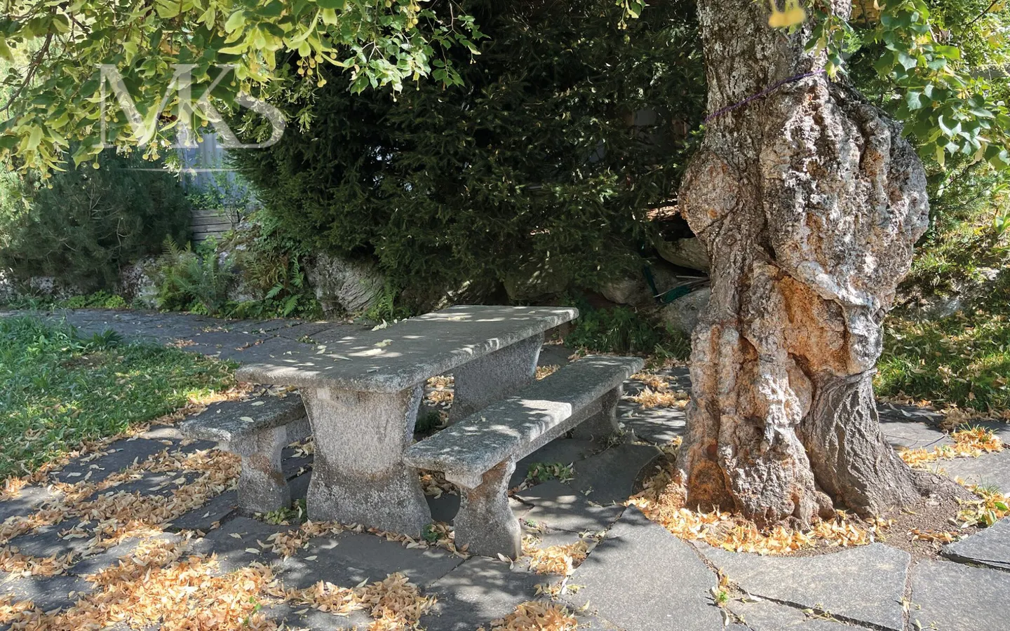 Maison familiale charmante à Mühlebach - Photo 28 sur 28