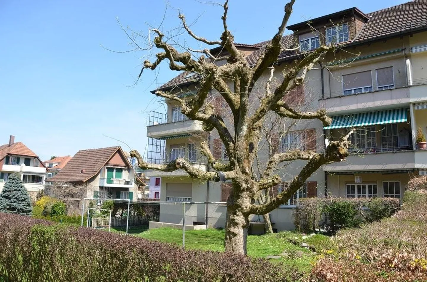 Modernes Erdgeschoss-Apartment - Foto 7 von 8