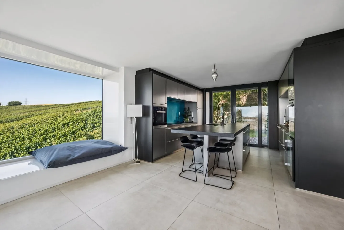 Villa eccezionale nei vigneti, vista a 180° sul bacino del Léman - Foto 3 di 11