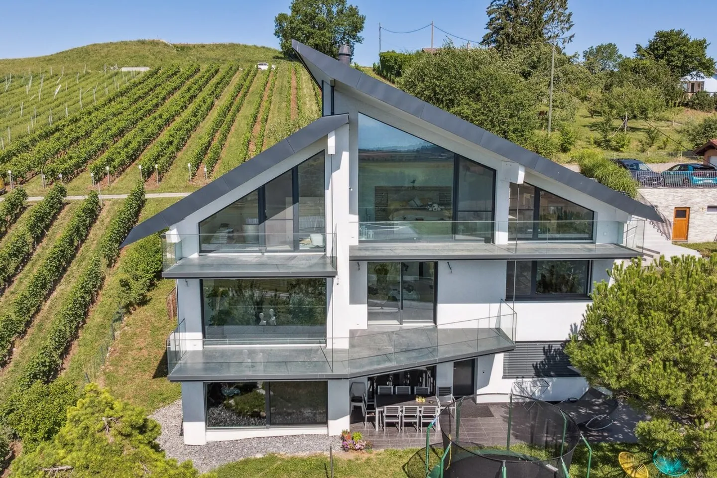 Villa eccezionale nei vigneti, vista a 180° sul bacino del Léman - Foto 1 di 11