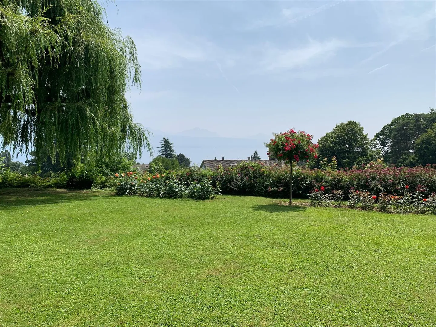 Magnifica villa vaudese, costruita individualmente nel 1978, ristrutturata, con una superficie di 251 m2, dove tutte le stanze godono di un'eccellente illuminazione naturale, con piscina interna/esterna, grande terrazza e giardino alberato. - Foto 3 di 13