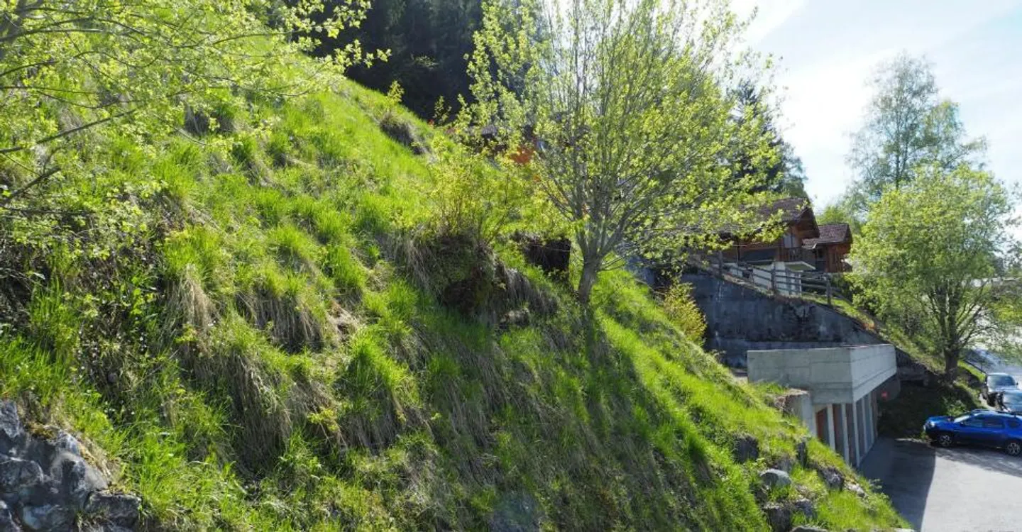Grand terrain constructible libre de mandat à côté du Bisse à Haute-Nendaz - Photo 5 of 8