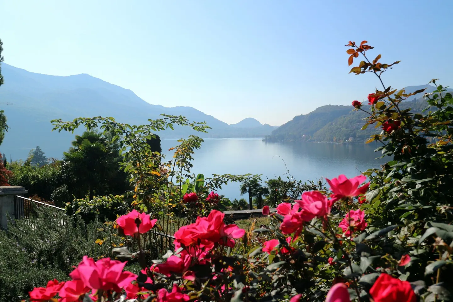 From Tuscany with love | TI - Foto 18 di 19