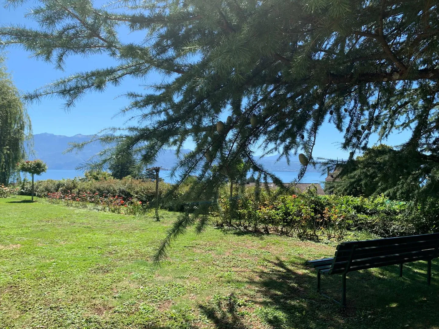 Magnifica villa vaudese, costruita individualmente nel 1978, ristrutturata, con una superficie di 251 m2, dove tutte le stanze godono di un'eccellente illuminazione naturale, con piscina interna/esterna, grande terrazza e giardino alberato. - Foto 12 di 13