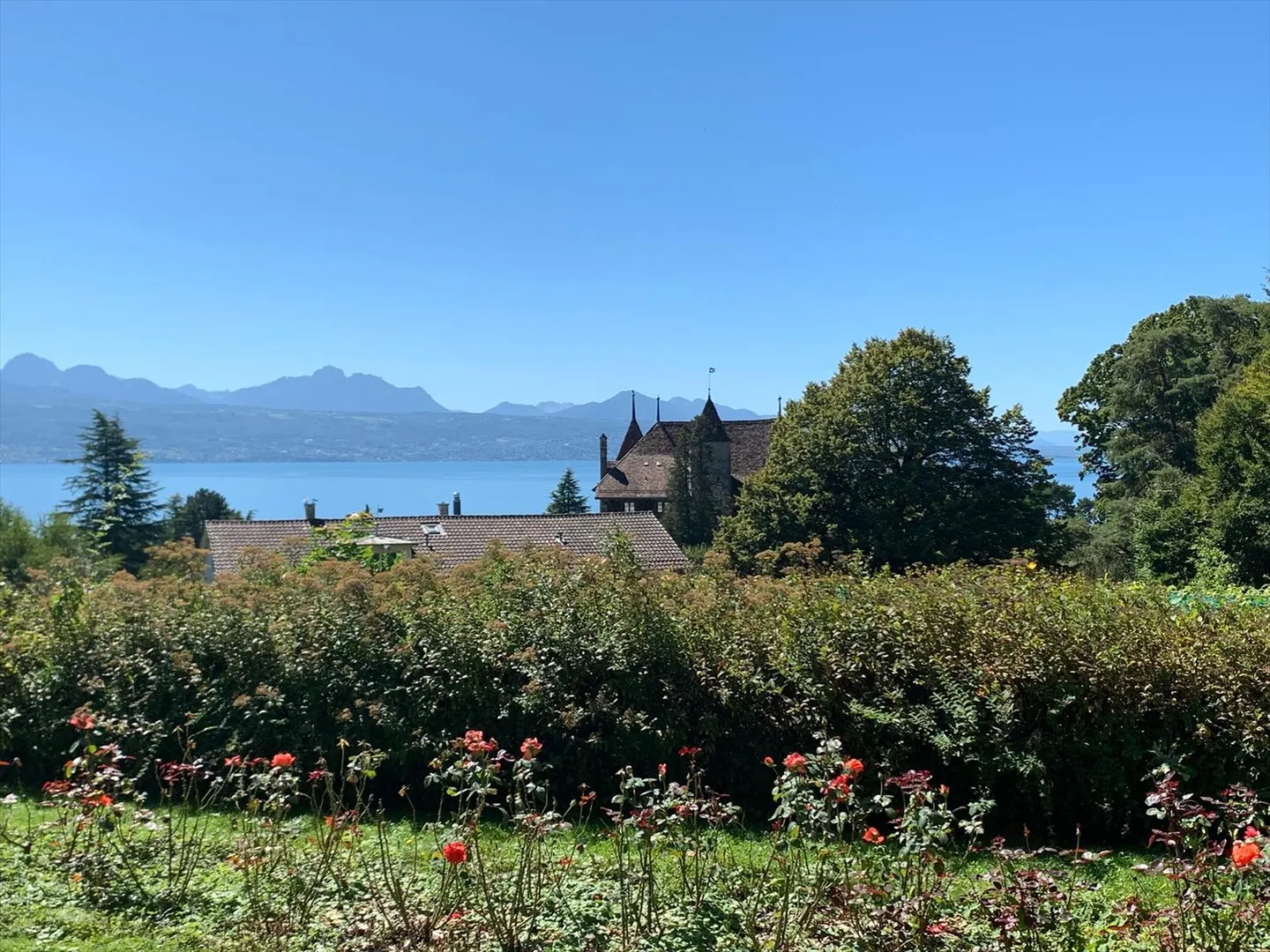 Magnifica villa vaudese, costruita individualmente nel 1978, ristrutturata, con una superficie di 251 m2, dove tutte le stanze godono di un'eccellente illuminazione naturale, con piscina interna/esterna, grande terrazza e giardino alberato. - Foto 13 di 13