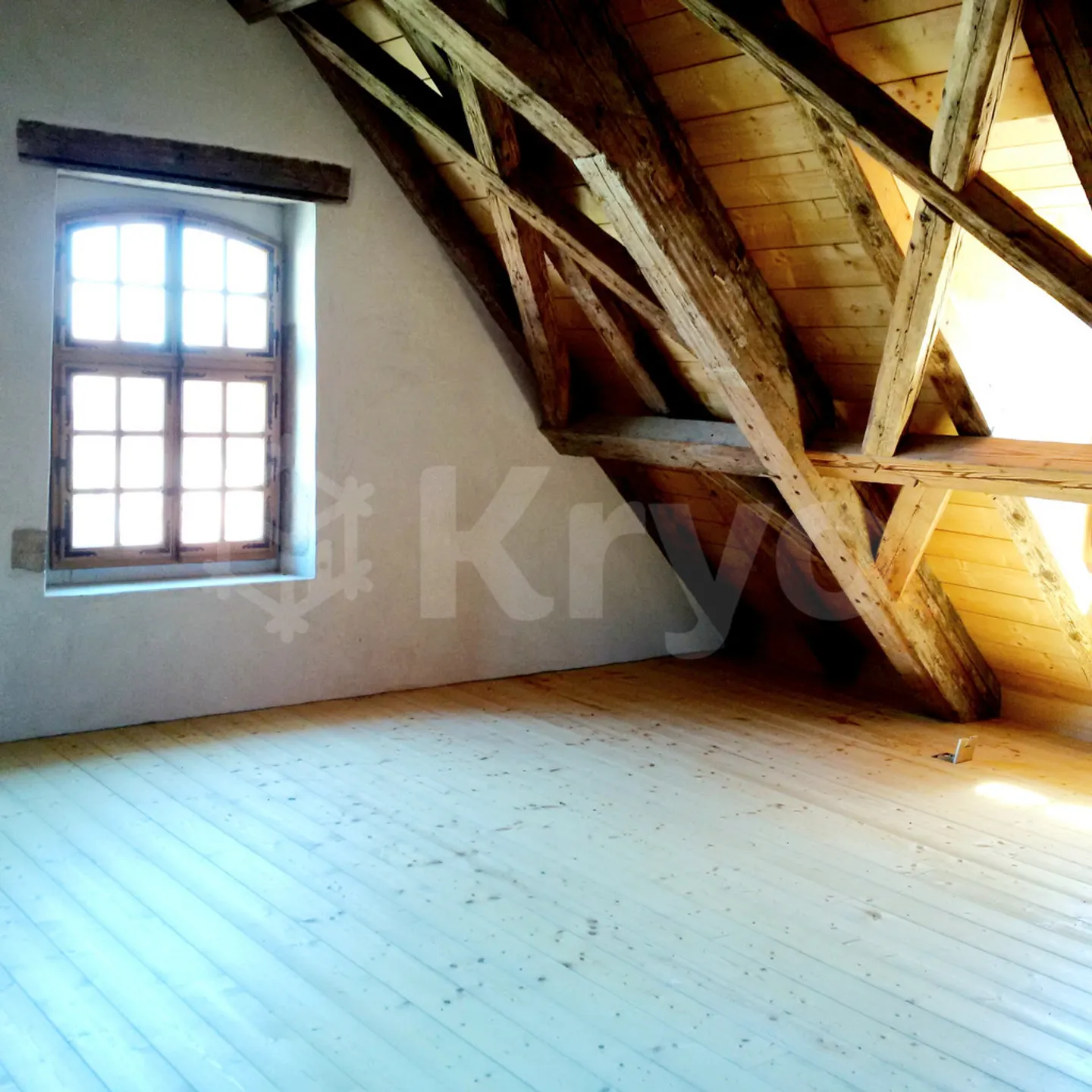 VIGNETO 18, Loft di 250m2 a 20min da Losanna - Foto 5 di 10