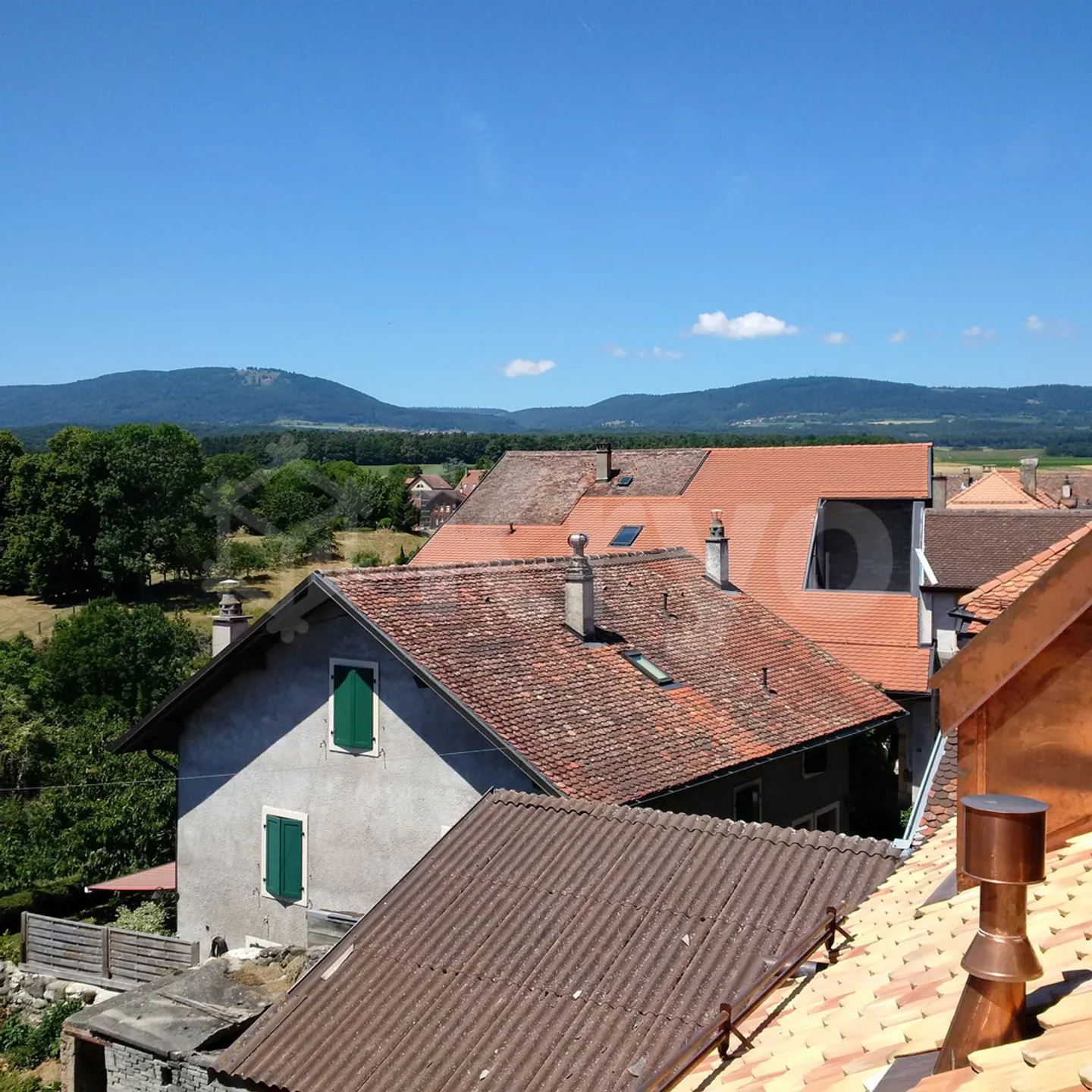 VIGNETO 18, Loft di 250m2 a 20min da Losanna - Foto 10 di 10