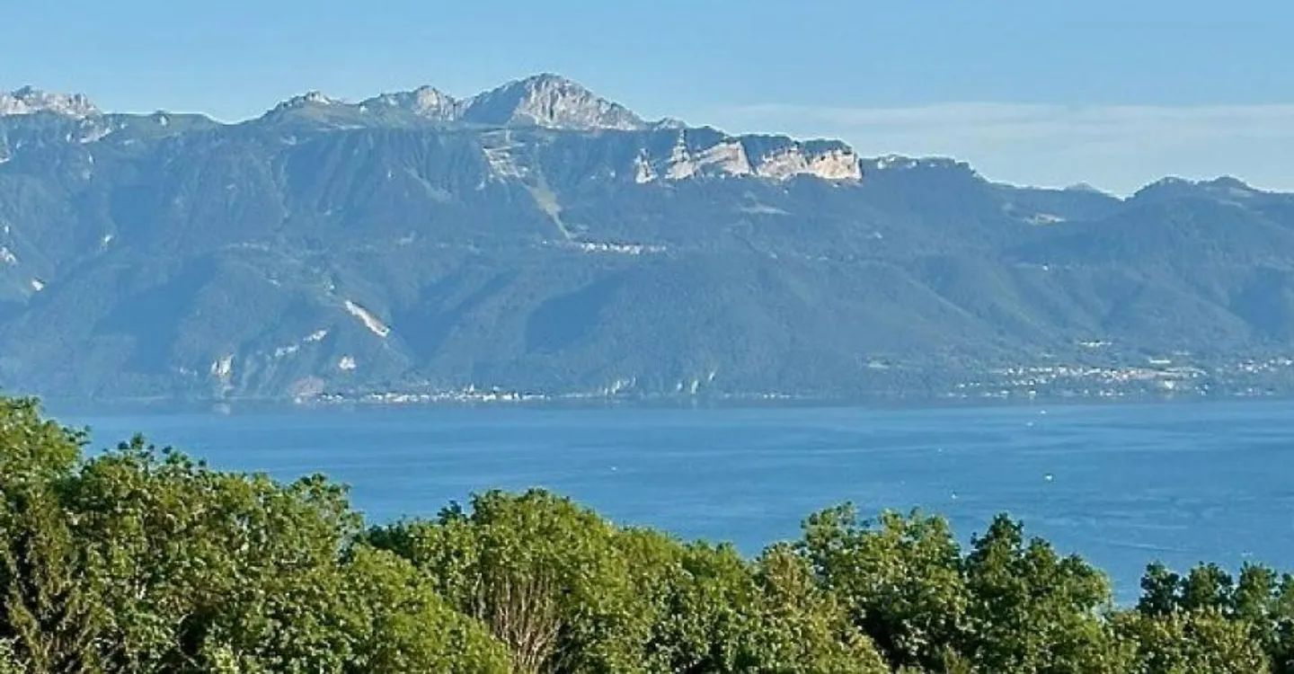 4.5 Zimmer Luxuswohnung - 99 m² Terrasse & Panoramablick auf den See - Foto 3 von 10