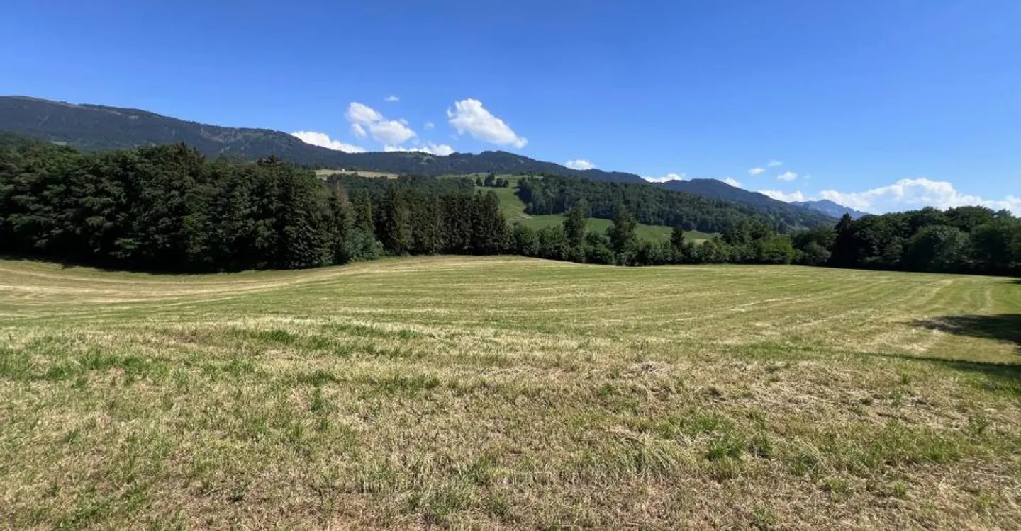 À vendre, Ferme, 1649 Pont-la-Ville, Réf 6270477 - Foto 11 von 13