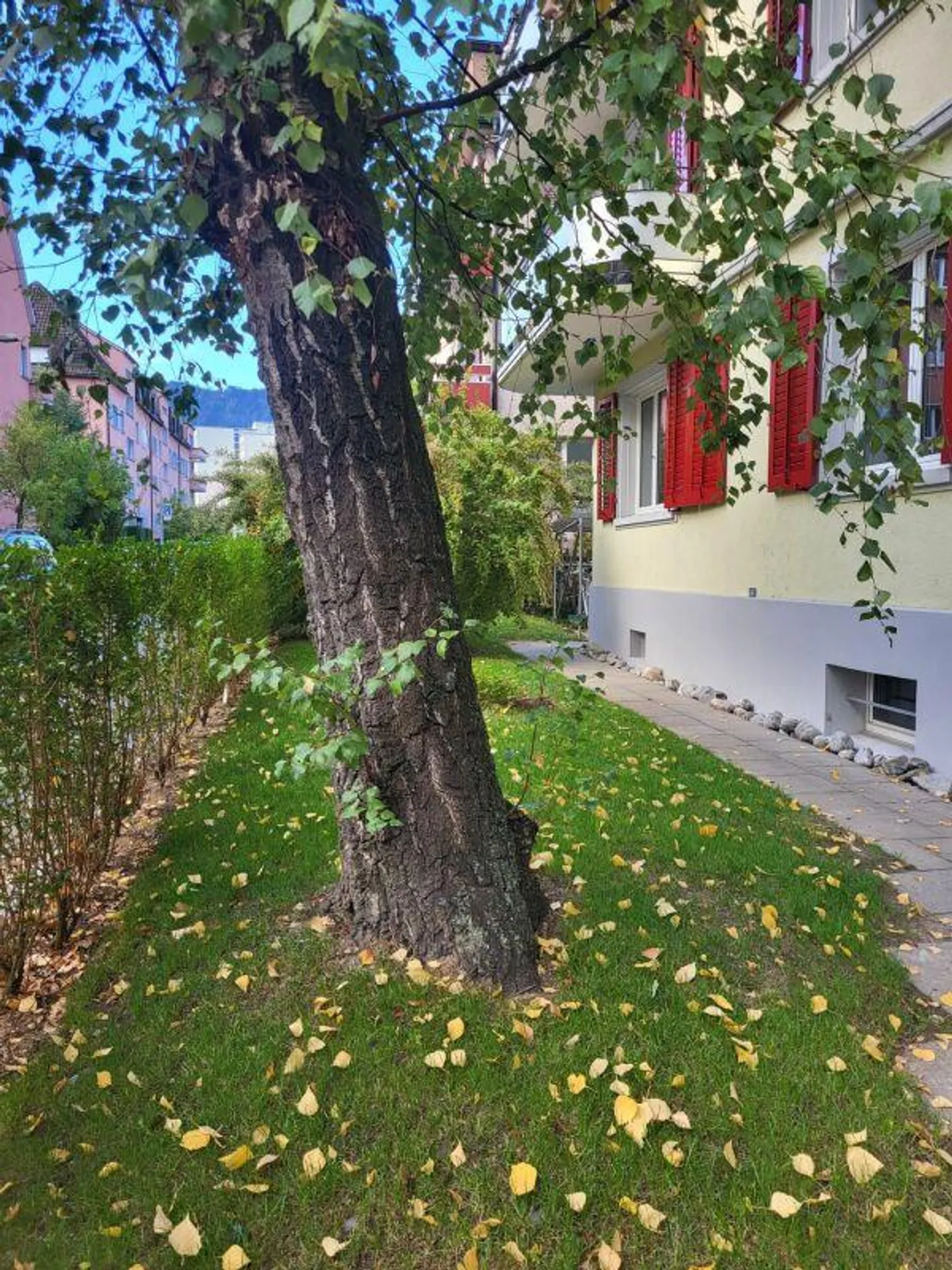 Charming 4-room apartment on the ground floor for rent - Photo 2 of 13