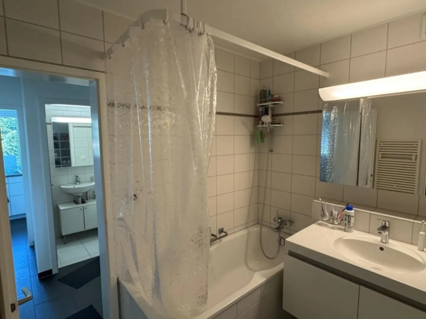 «3½ ZI-WOHNUNG IN ZÜRICH - KREIS 7, MÖBLIERT, TEMPORÄR» - Foto 7 von 10
