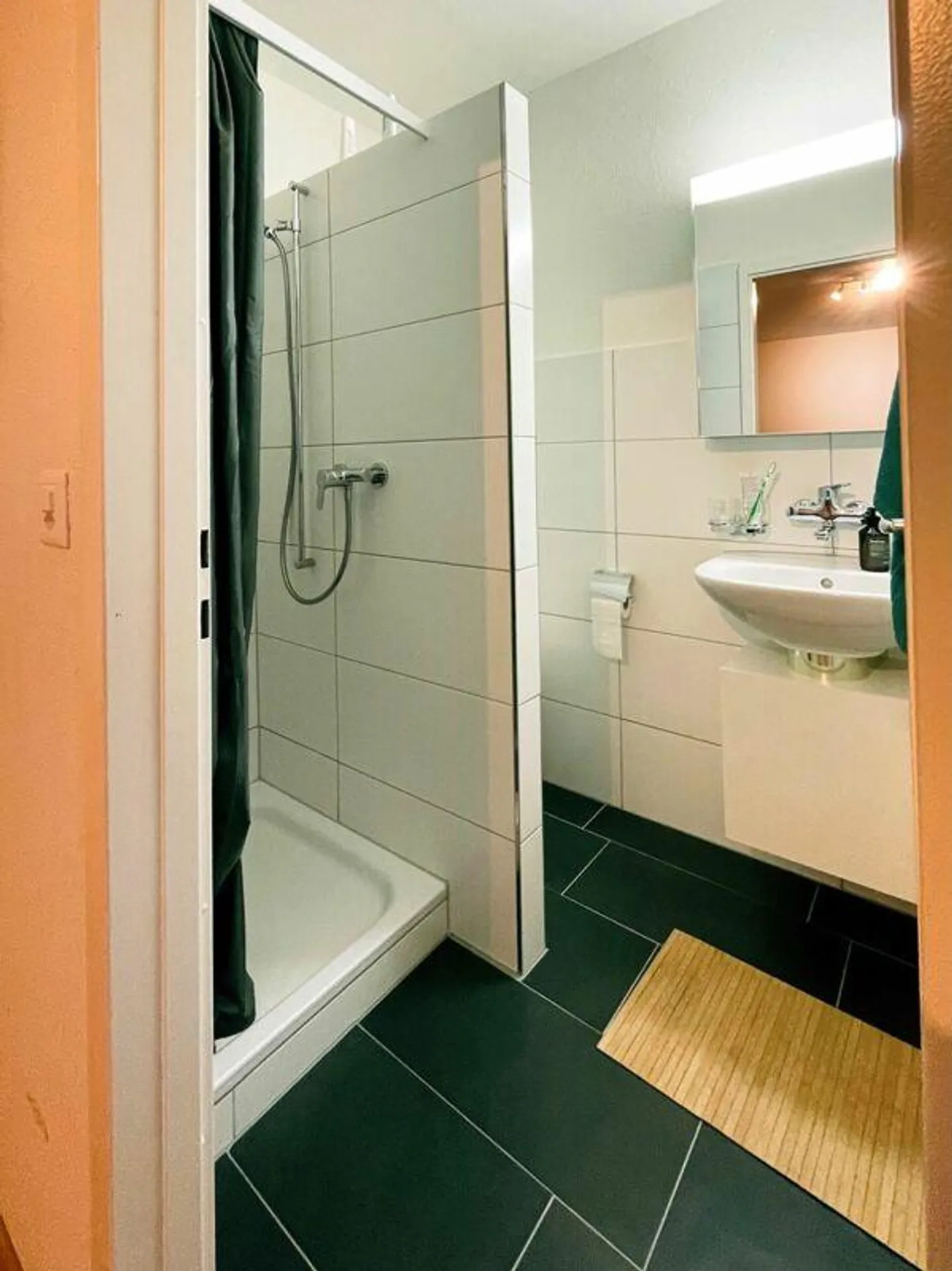 Spacious 1-room apartment - Photo 4 of 8