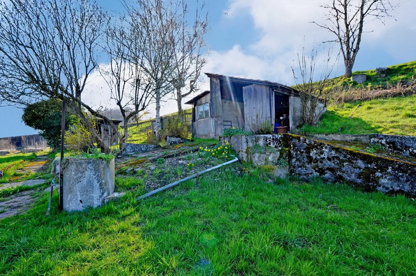 Terreno edificabile o casa unifamiliare in una posizione tranquilla a Höchstetten BE - Foto 12 di 16