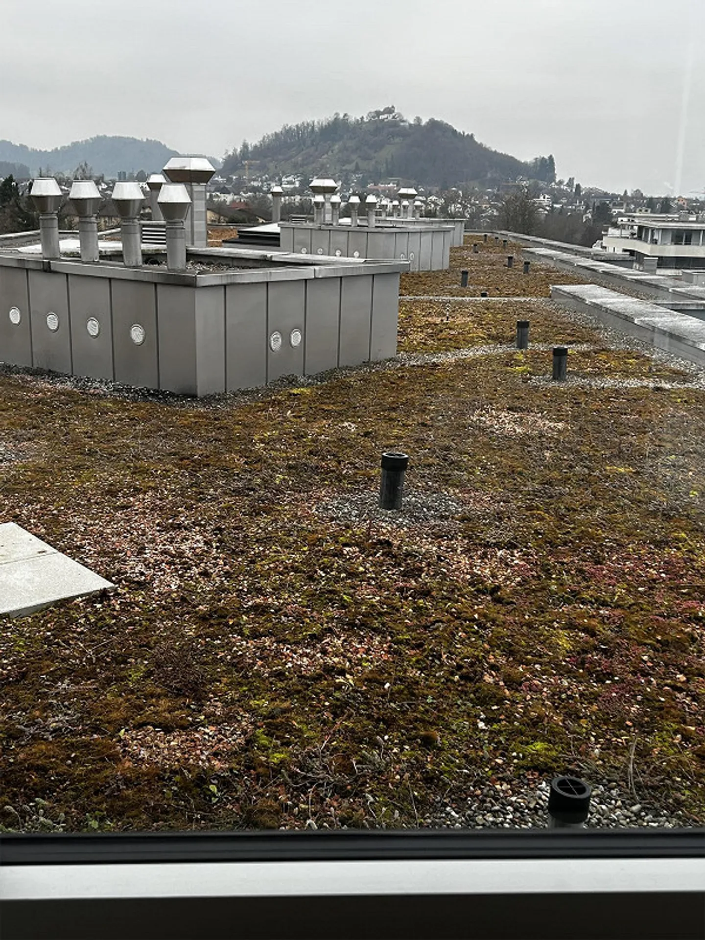 Wohnung - Foto 3 von 5